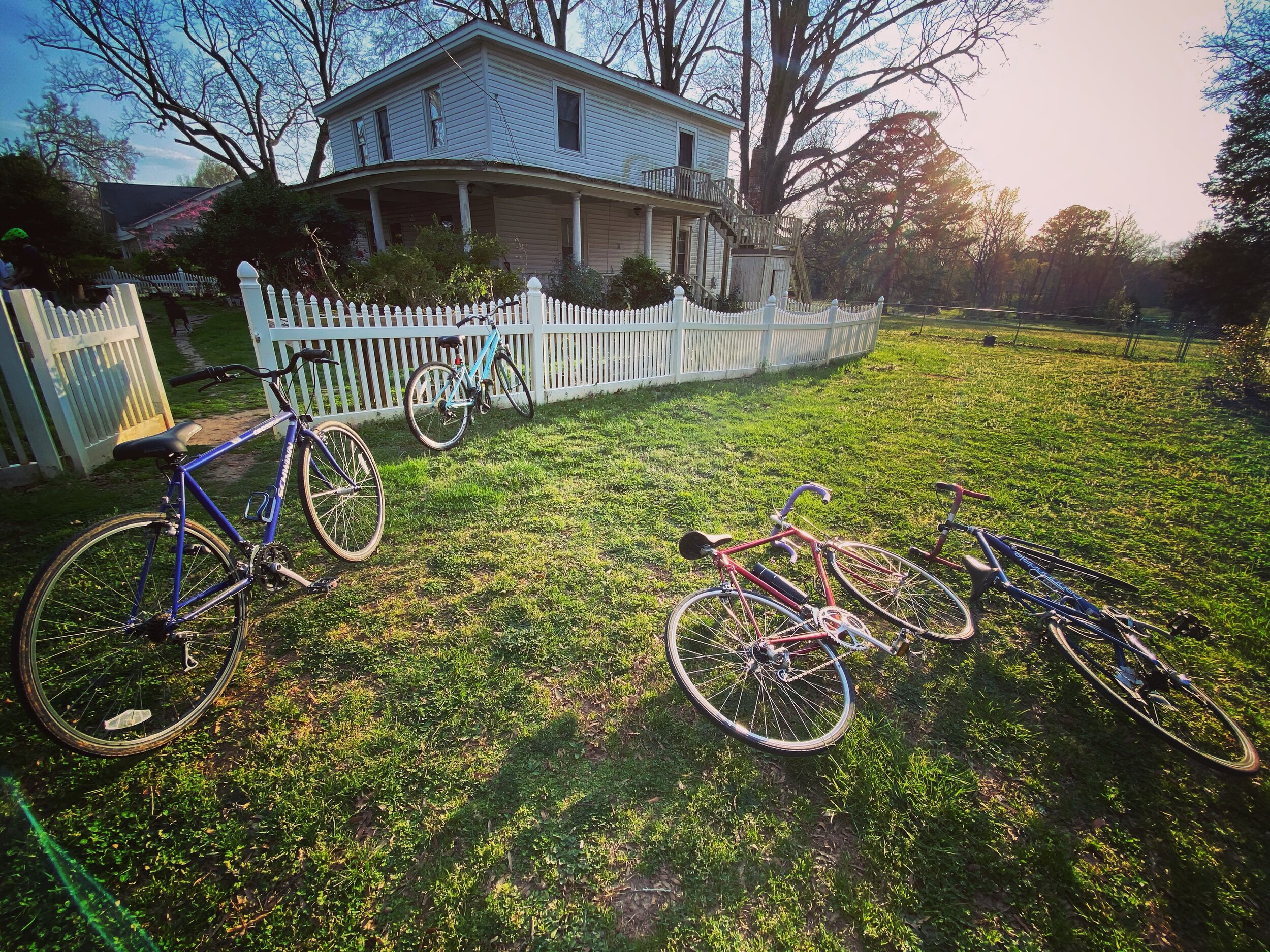 bikes in the yard.jpg