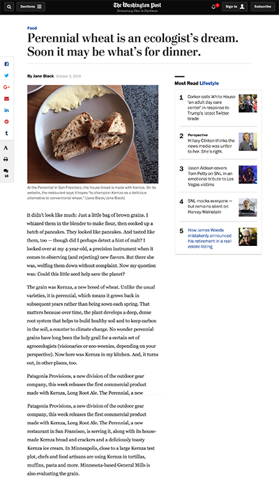 The Washington Post | Patagonia Provisions