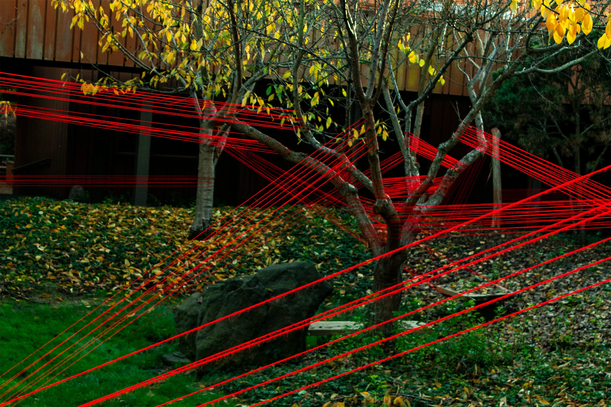 Gillespie_Kellie_Intersected_1.jpg