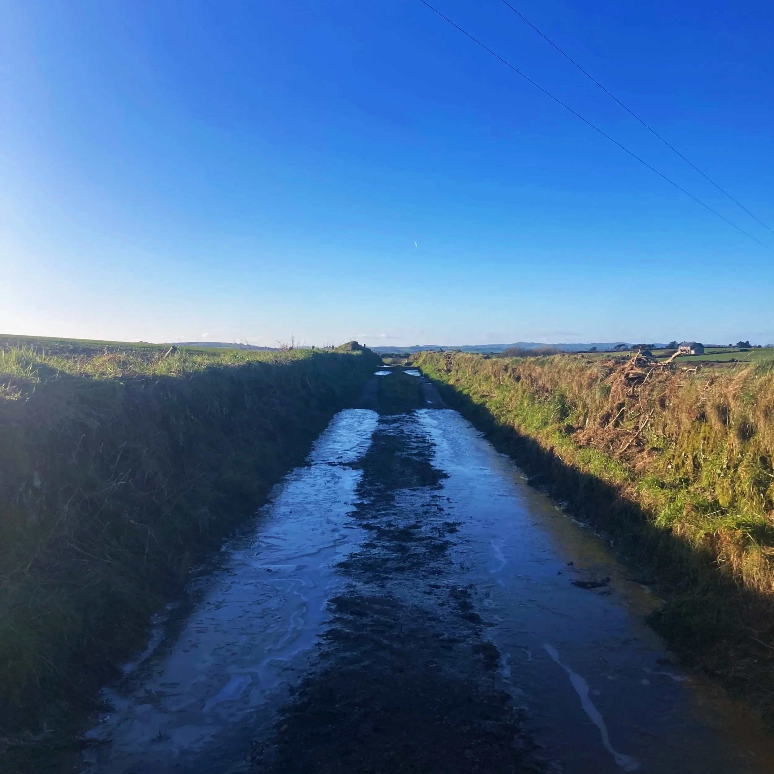 Inviting a Year of Acceptance