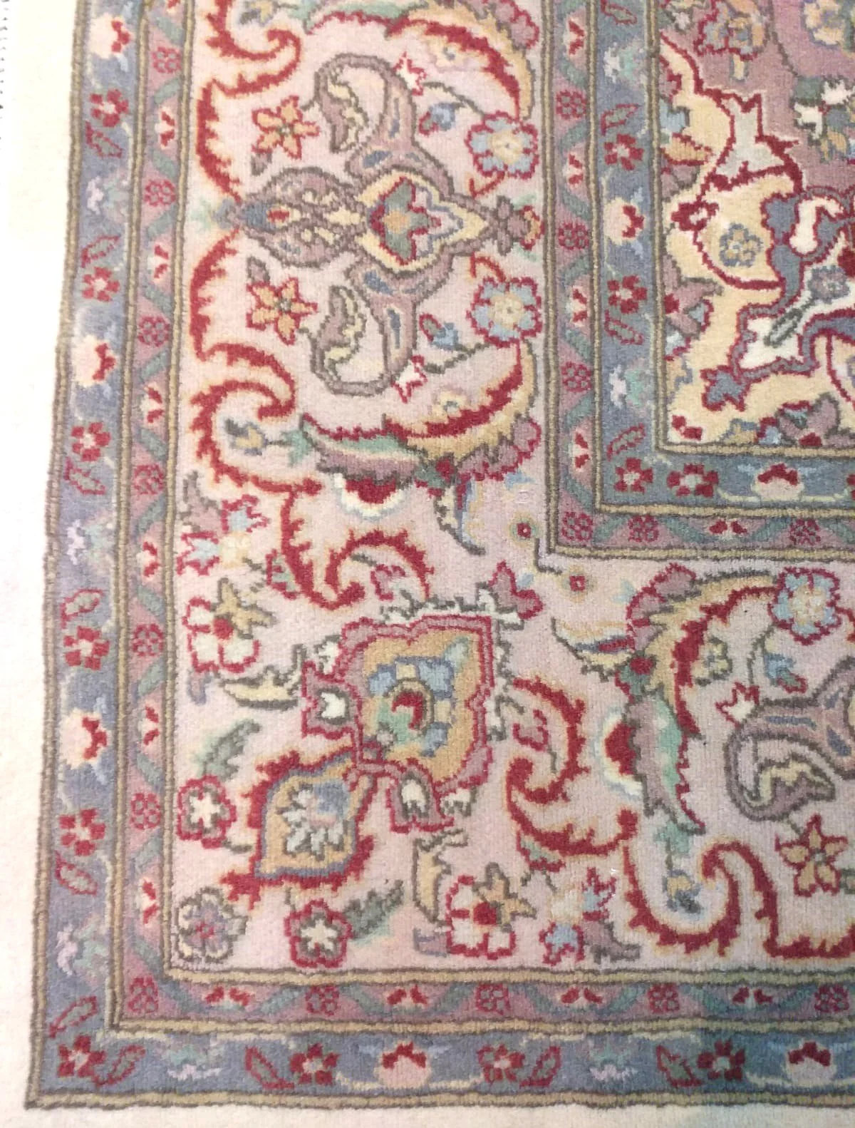 WhatsApp Image 2022-08-14 at 10.02.34 AM.jpeg