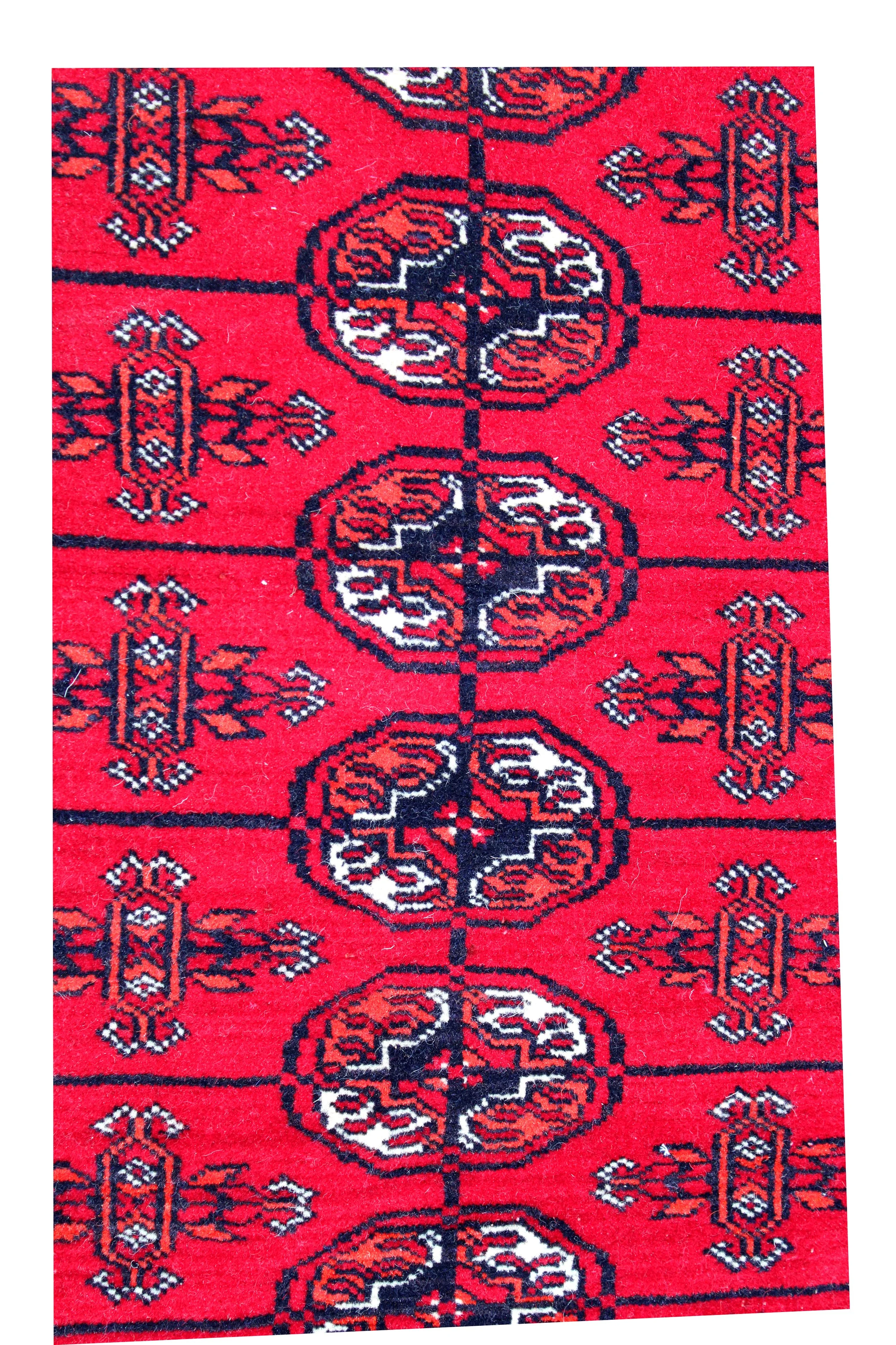 54840 C.JPG