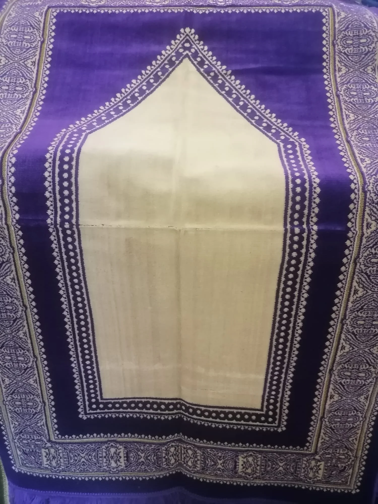 AMA04 PURPLE  02 .jpg