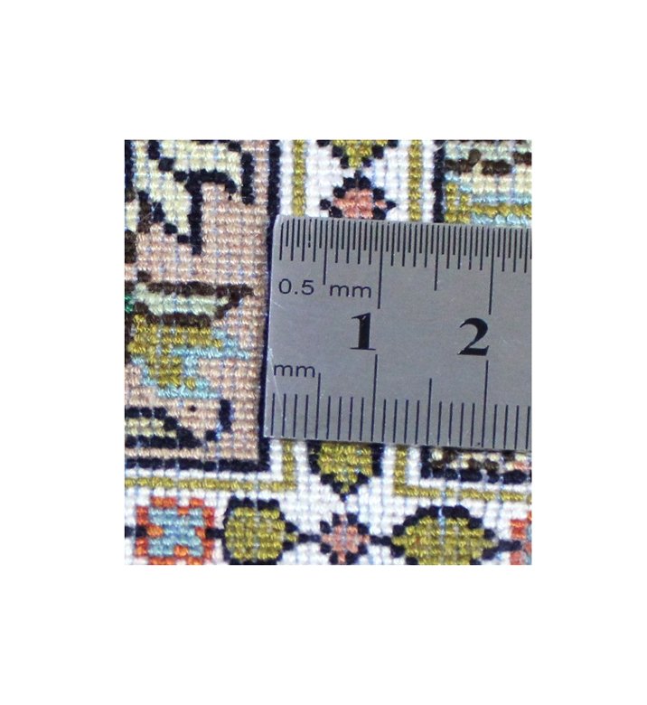 54198 D.JPG