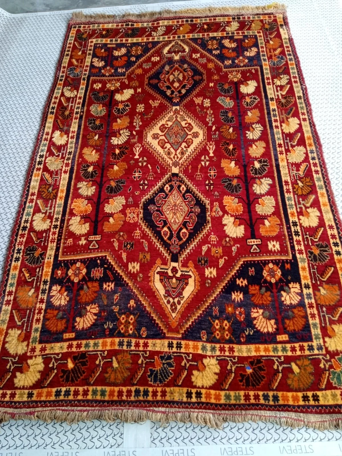 WhatsApp Image 2025-11-22 at 1.32.43 PM (1).jpeg