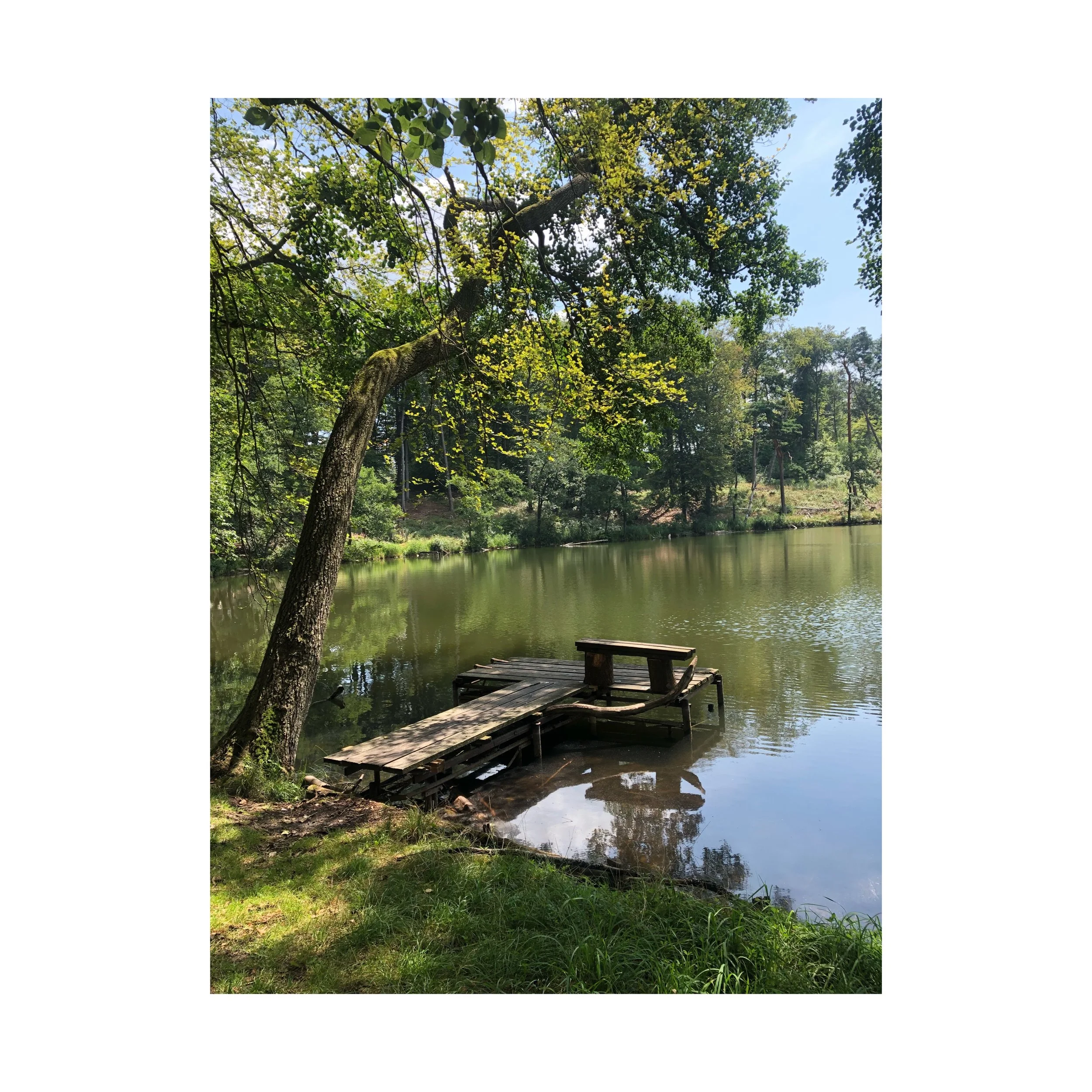 Triple-lake walk: Bachsee, Heiliger See, Amtssee