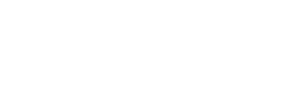 AD_LogoWebsite.png