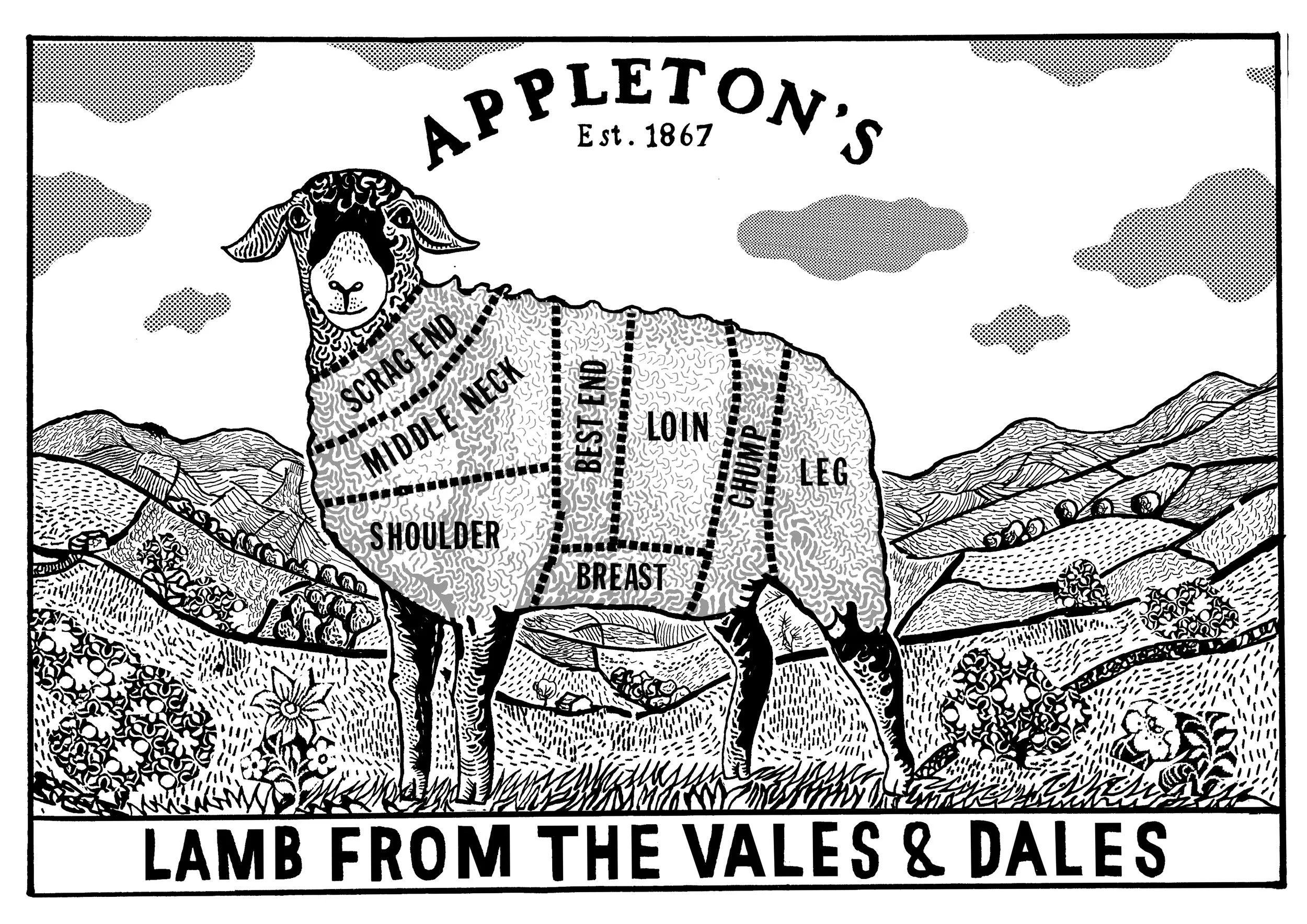 LAMB FROM THE VALES AND DALES.jpg