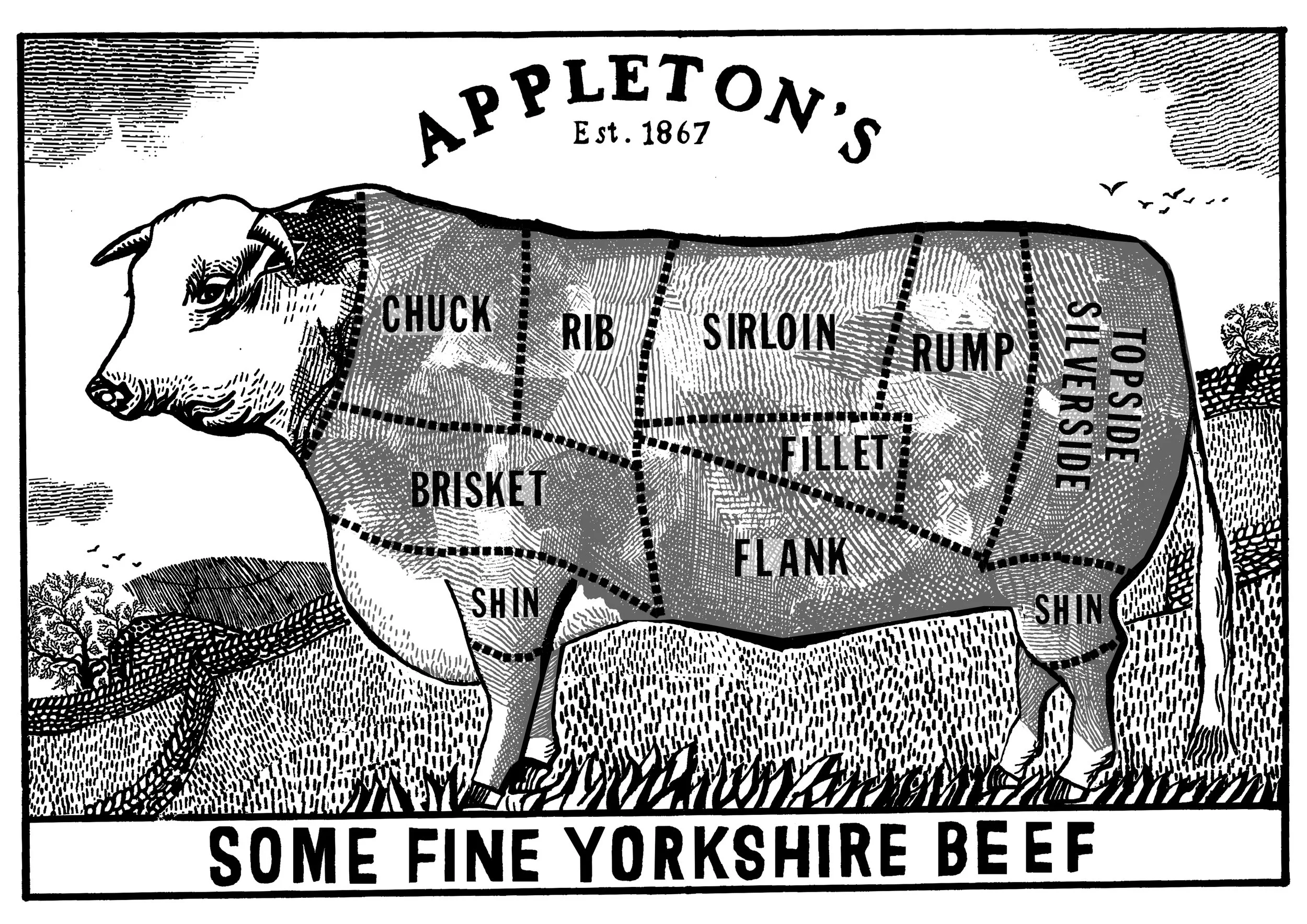 SOME FINE YORKSHIRE BEEF.jpg