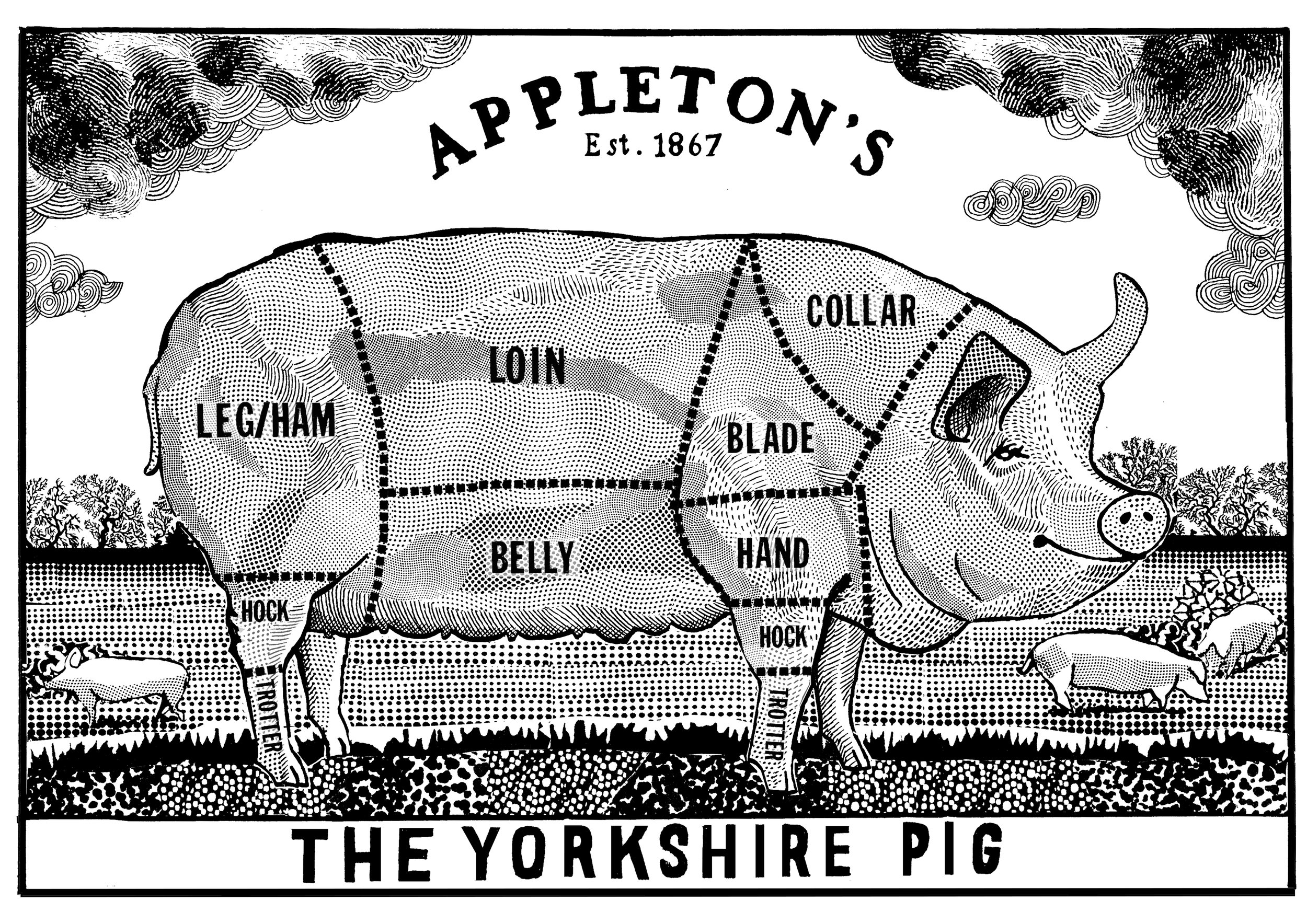 THE YORKSHIRE PIG.jpg