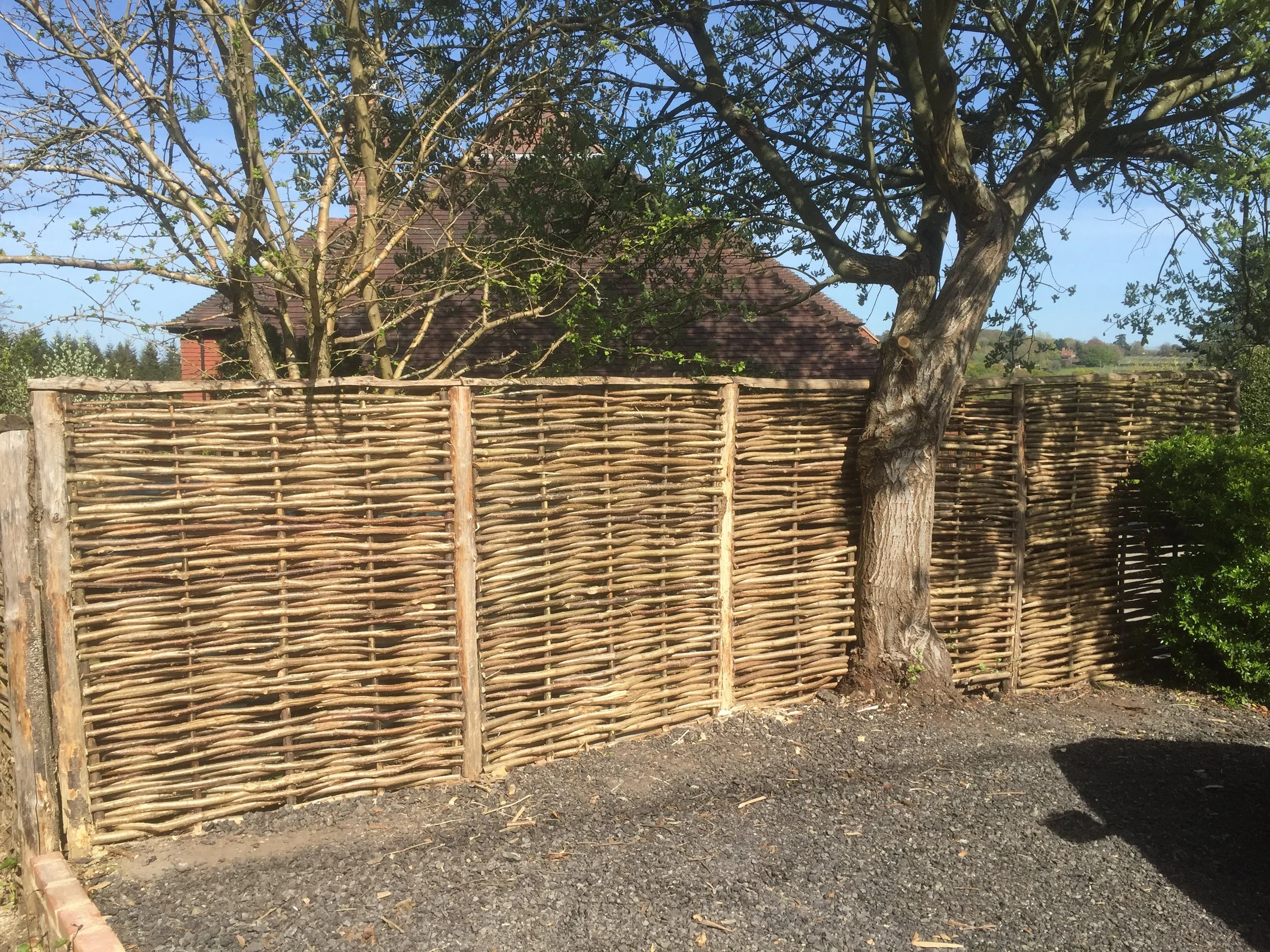 Woodlanders - Woodland Management - Snowdonia, North Wales