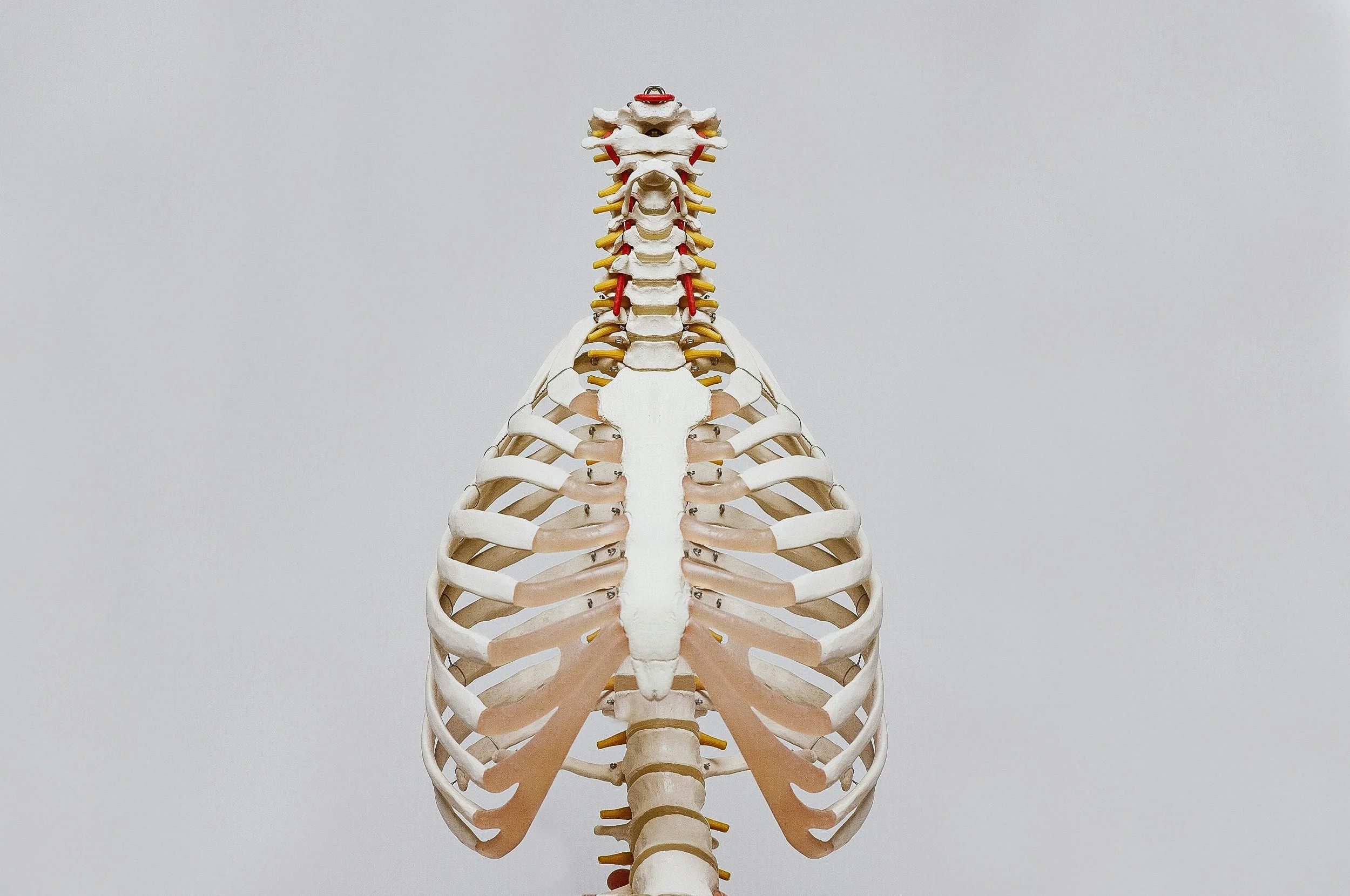 Understanding Costochondritis: Symptoms, Causes, and Home Remedies