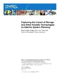 Capturing the Impact of Storage and Other Flexible Technologies on Electric System Planning