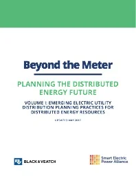 Beyond the Meter: Planning the Distributed Energy Future - Volumes 1 & 2 - SEPA 2017