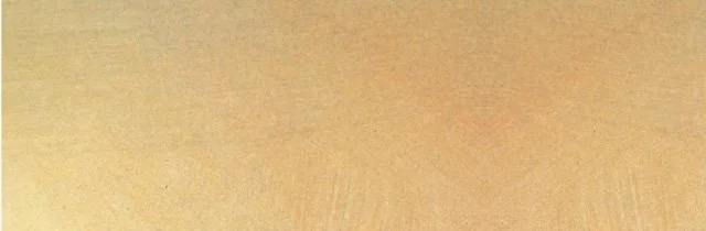 Background for Horses.jpg