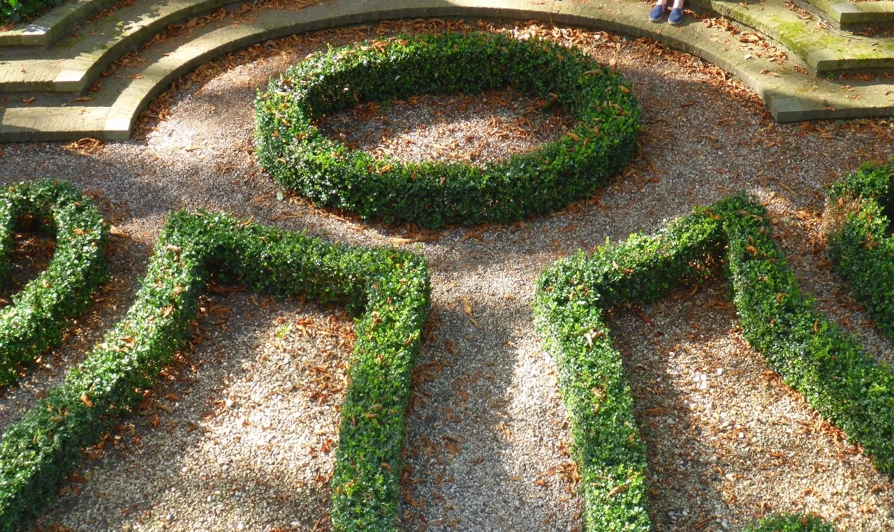 Silence and Solitude in Amsterdam