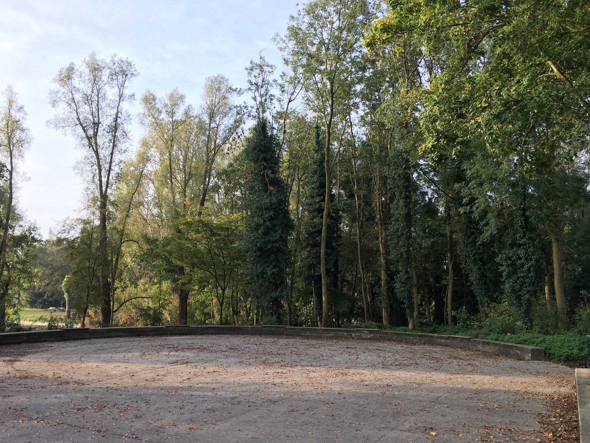 Amazed in Sloterpark