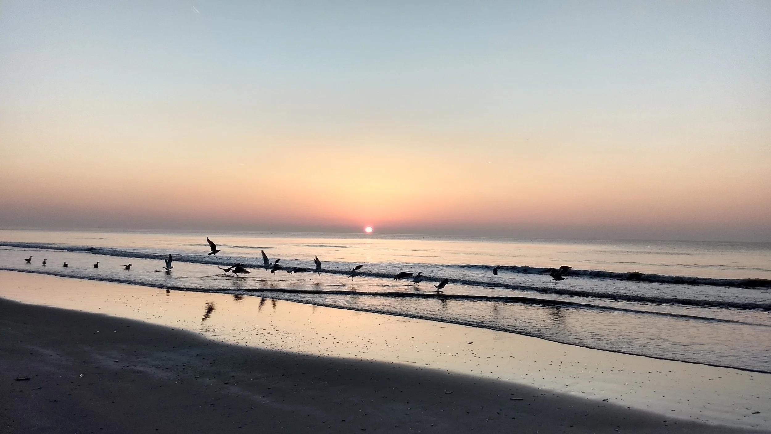 Head to the Beach before summer