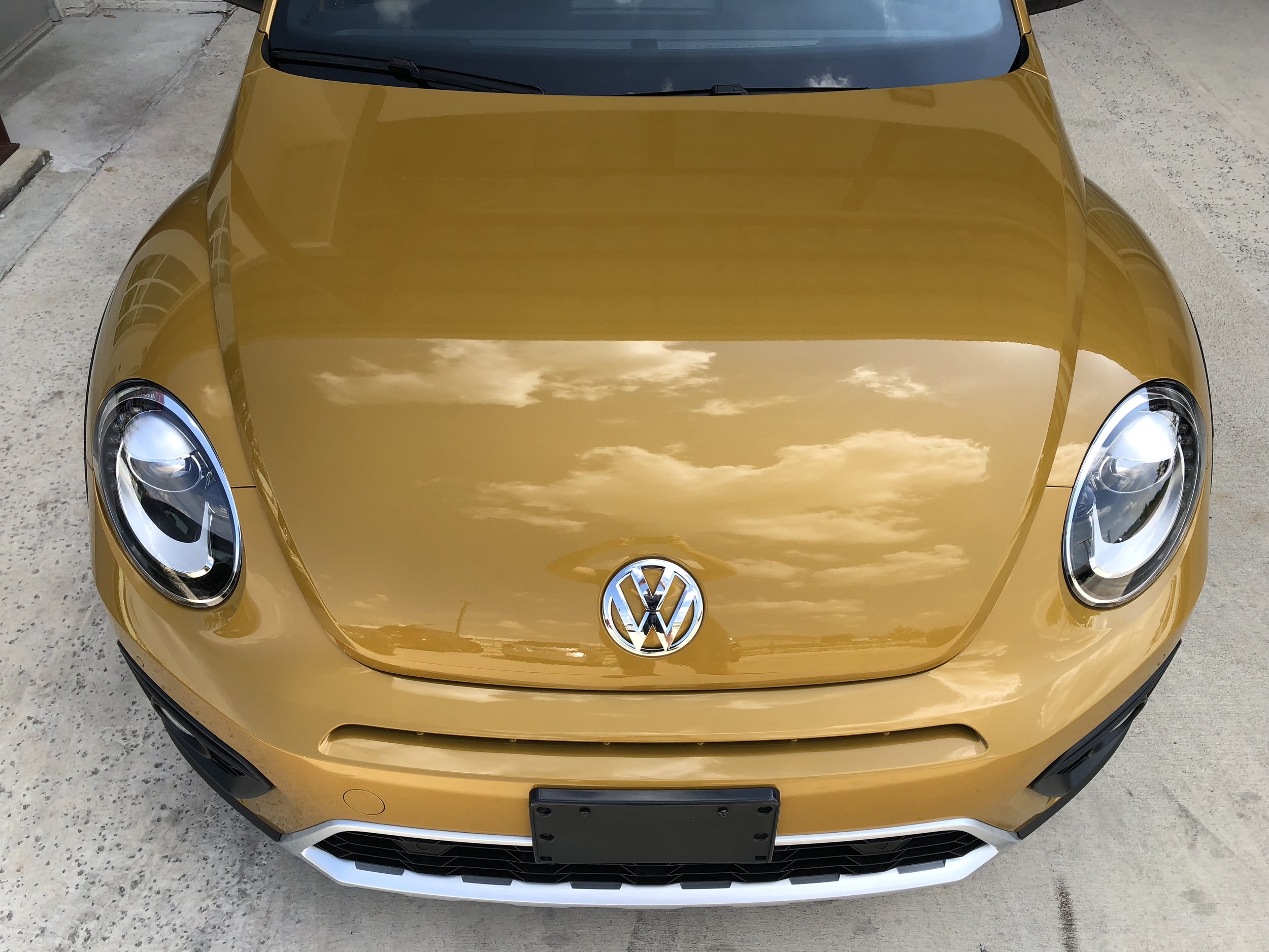 Volkswagen Beetle Paint Protection