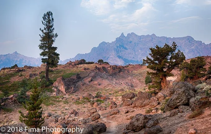 Fima_Photography--17.jpg