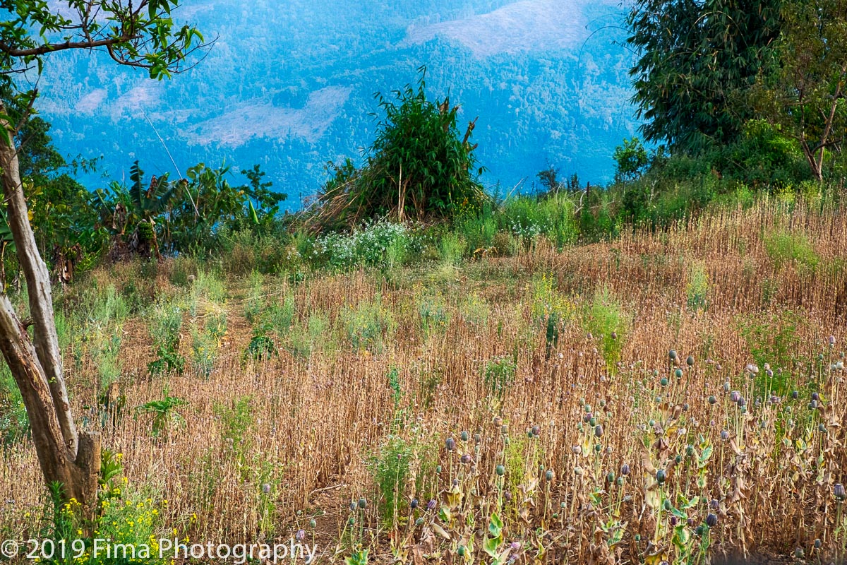 FimaPhotography--44.jpg