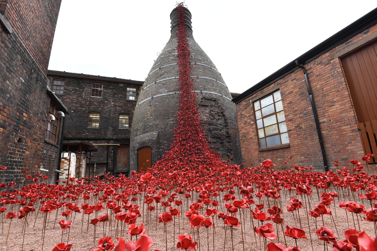 Poppies 6.jpg