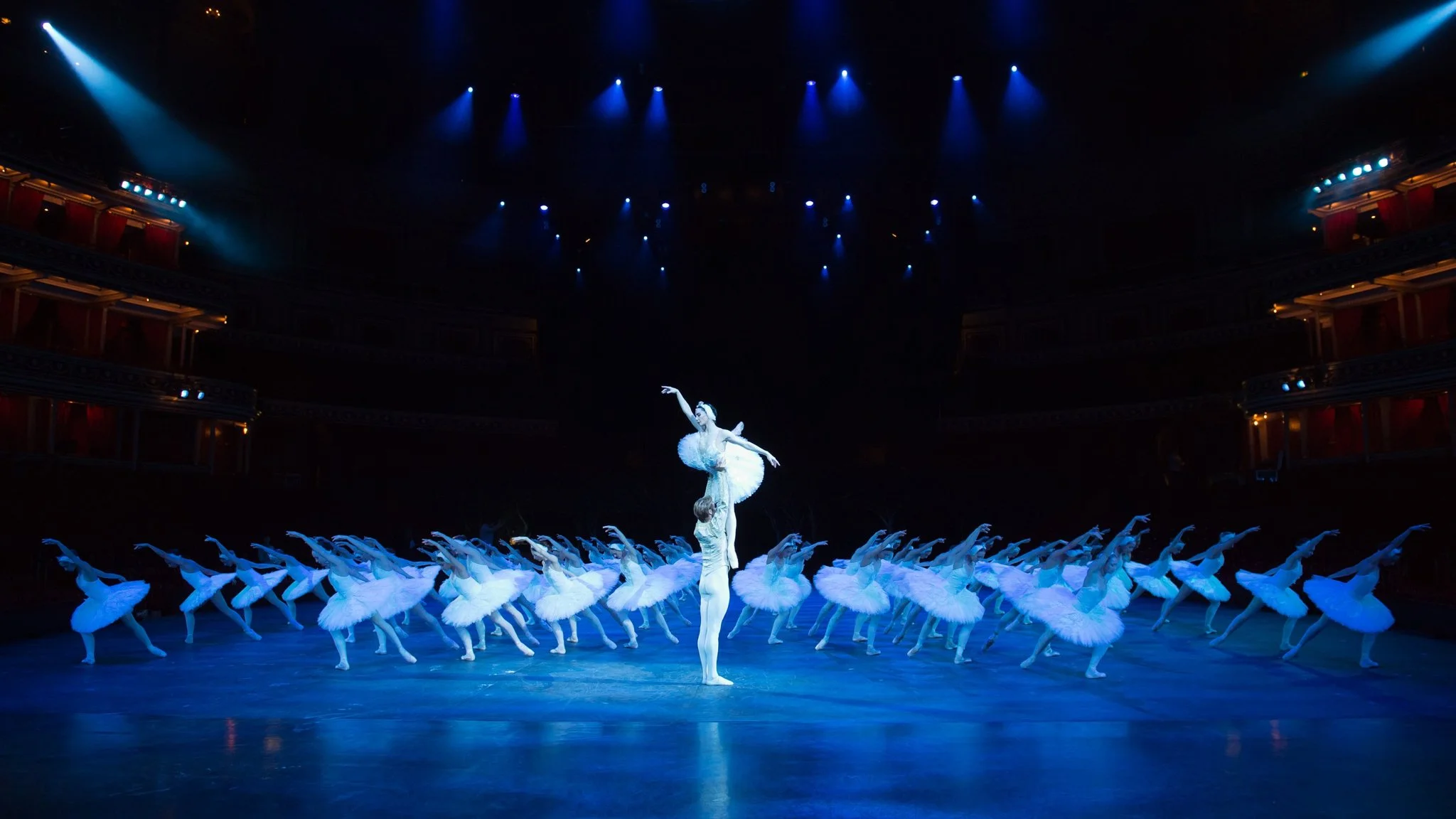 Swan Lake.jpeg