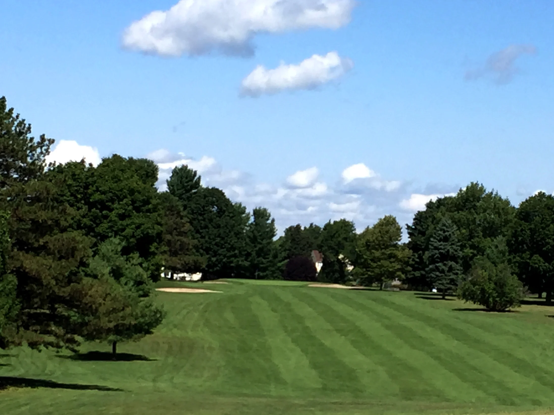 IMG_2046ps.jpg