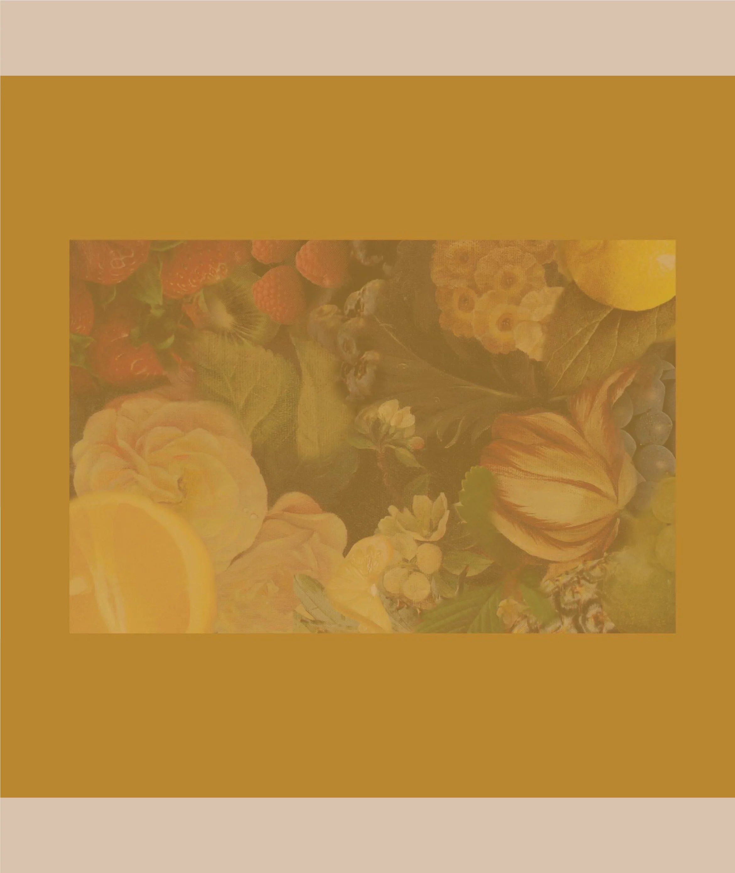 YELLOW_CREMA_BANNER-02.jpg