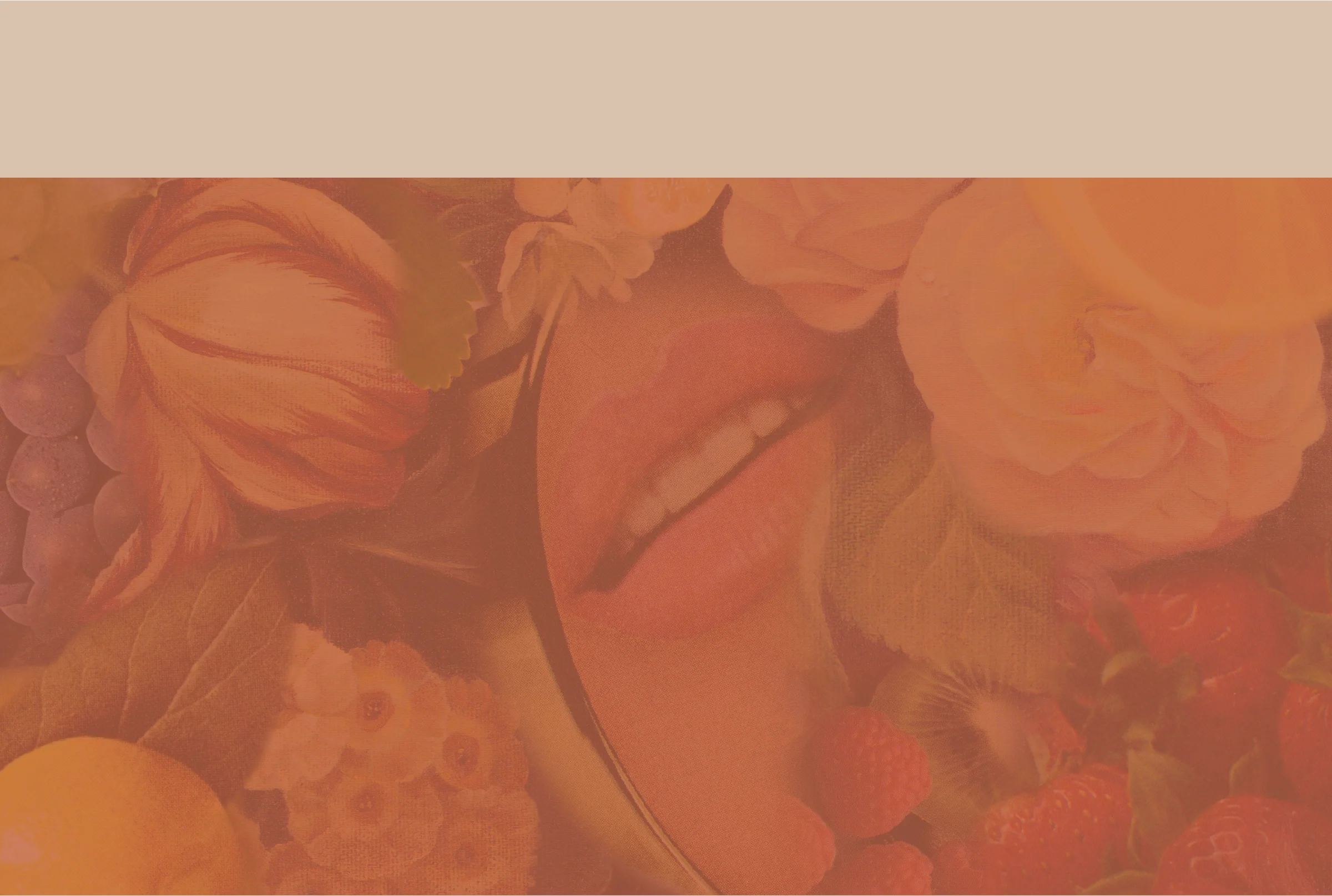 coral_cream-01.jpg