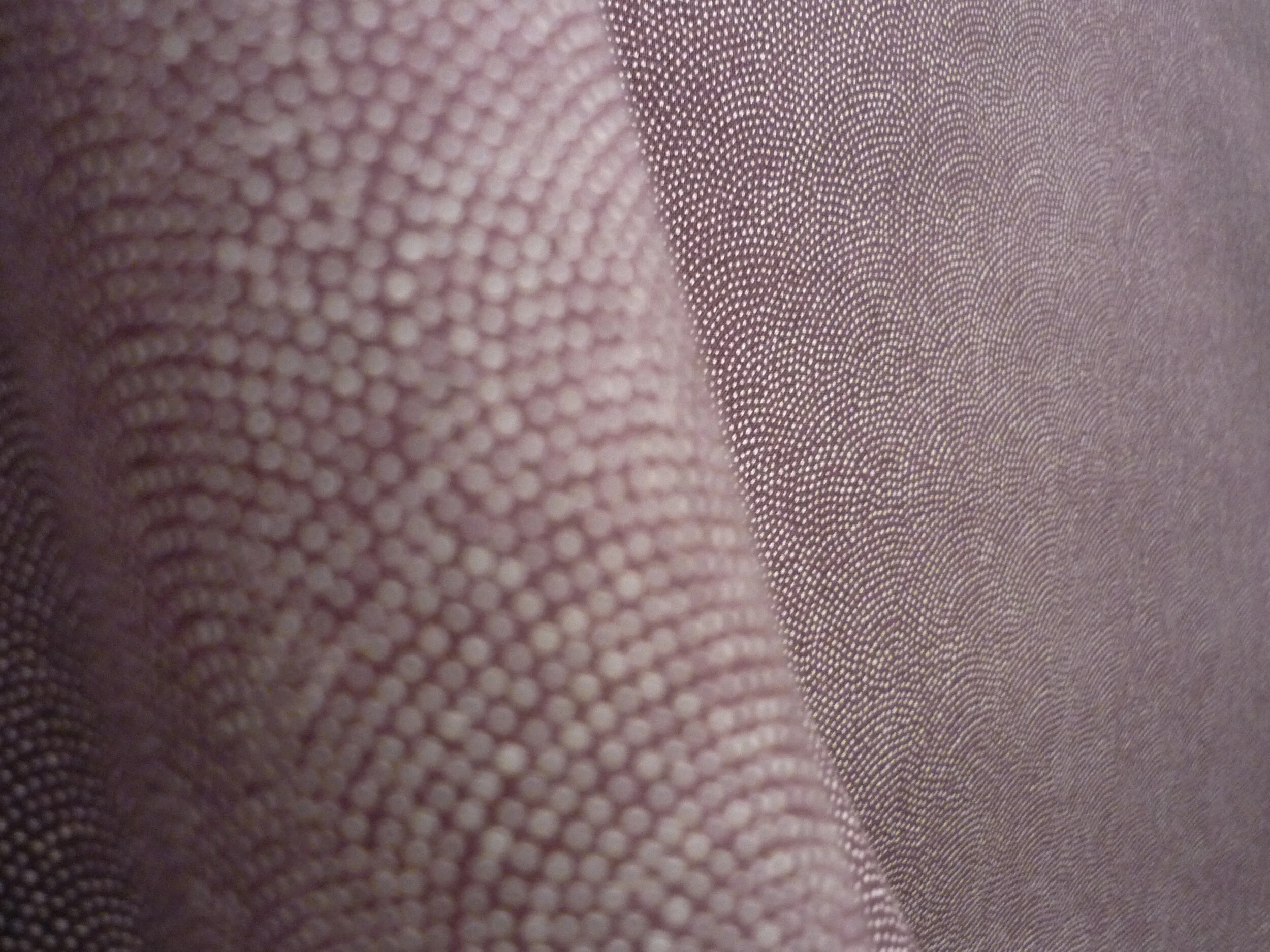 P1150556.JPG