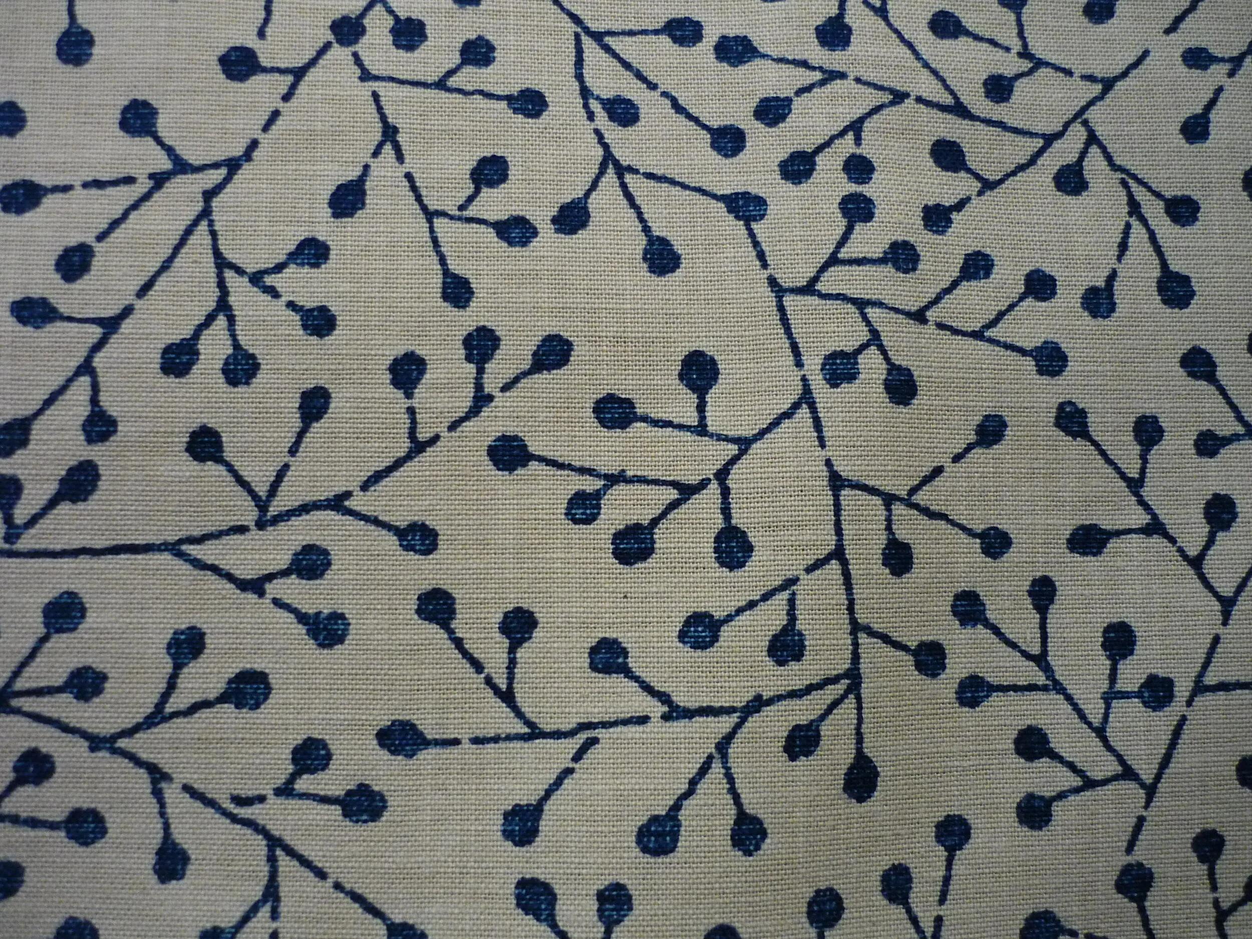 P1150860.JPG