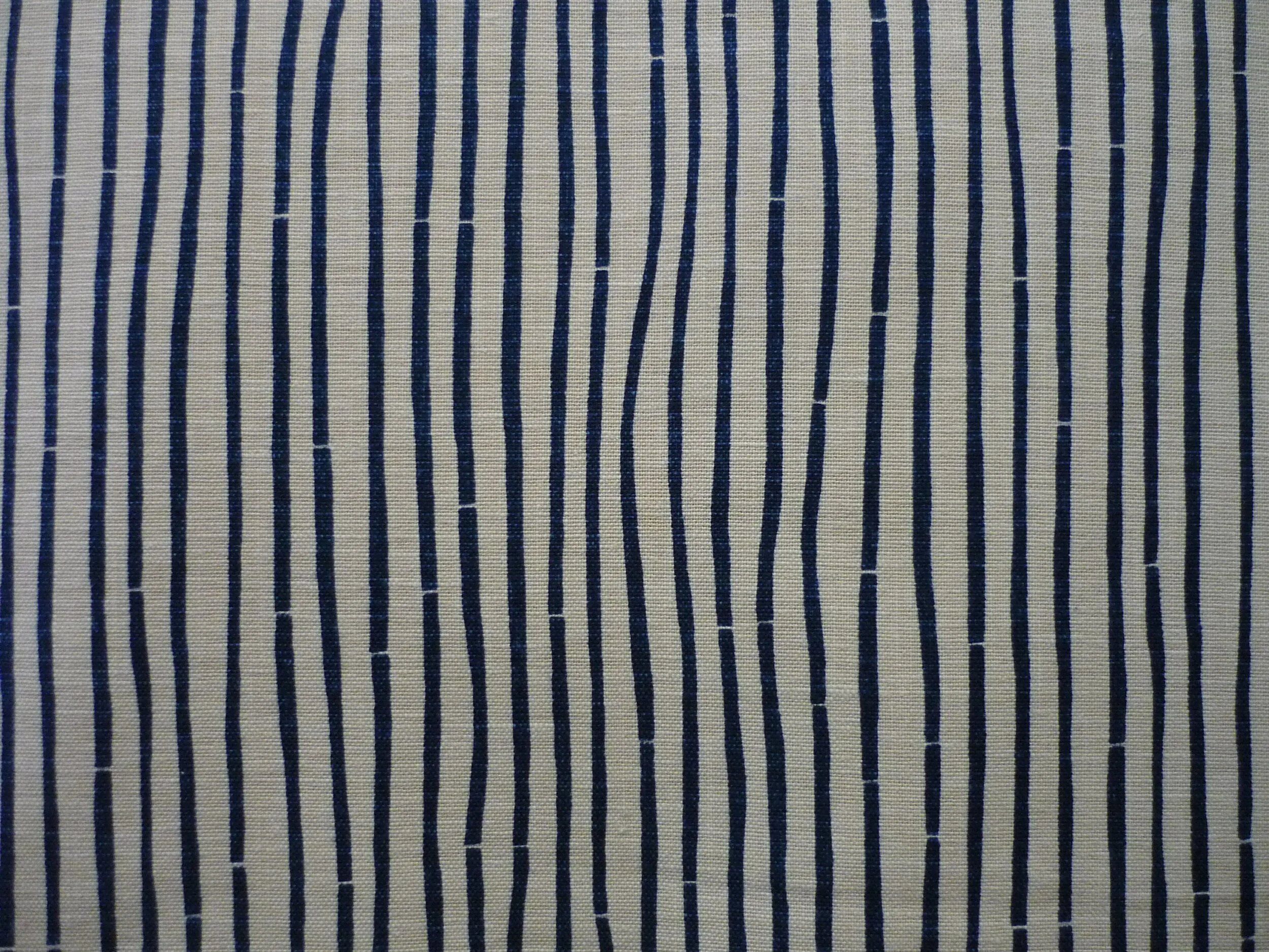 P1150881.JPG