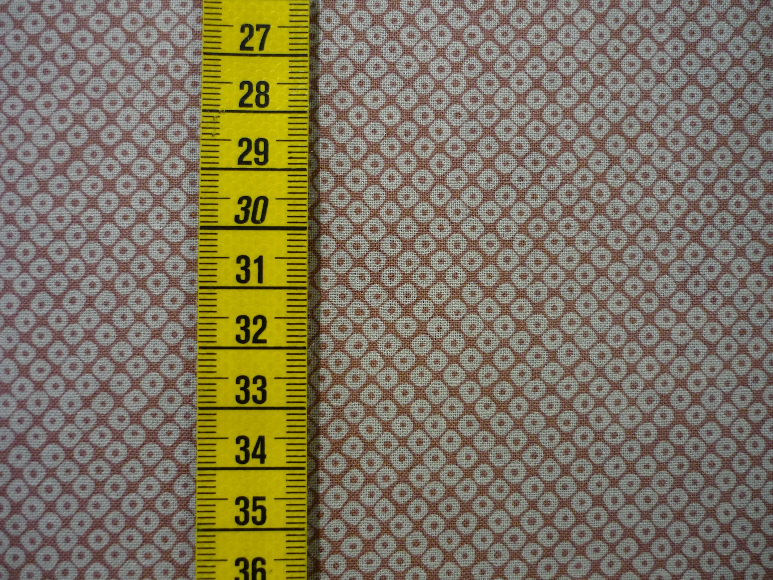 P1200582.JPG