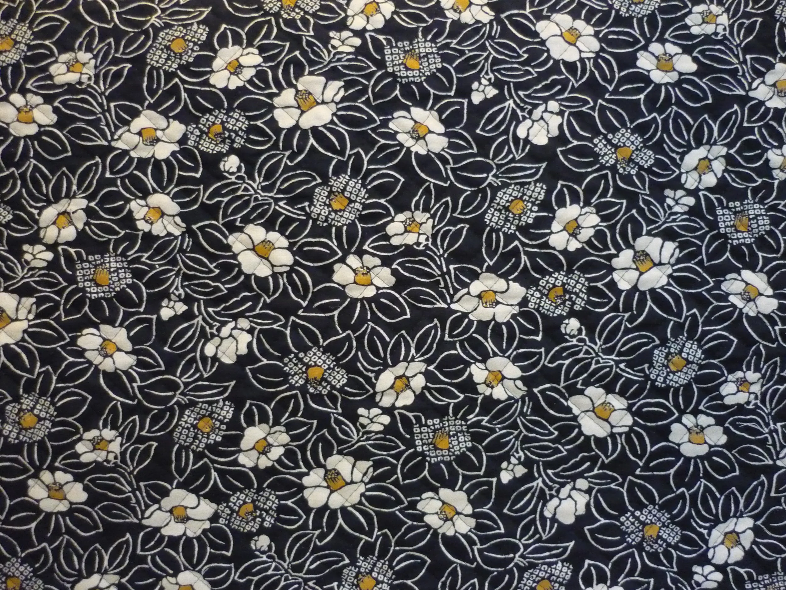 Nouveauté Camélia japonaise Noir