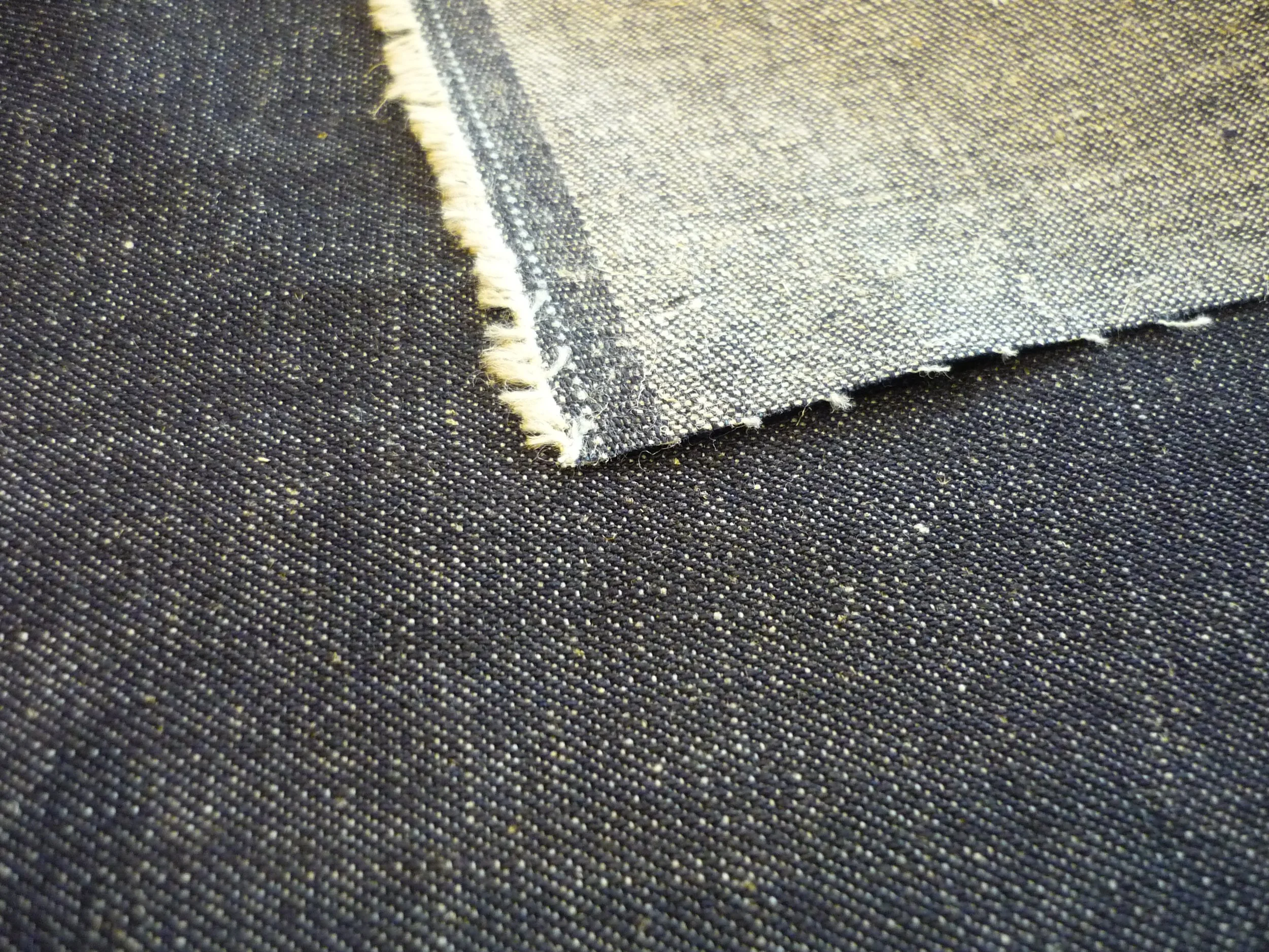 P1220973.JPG