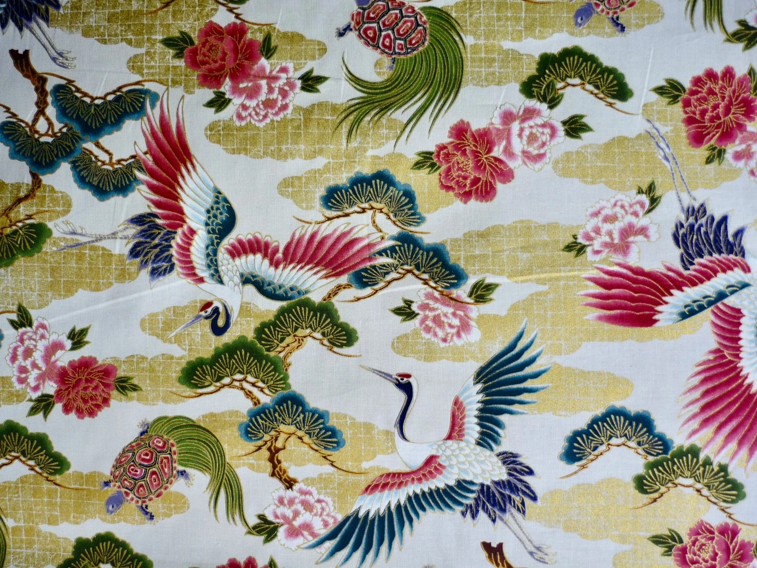 Nouveauté GM - Longévité écru