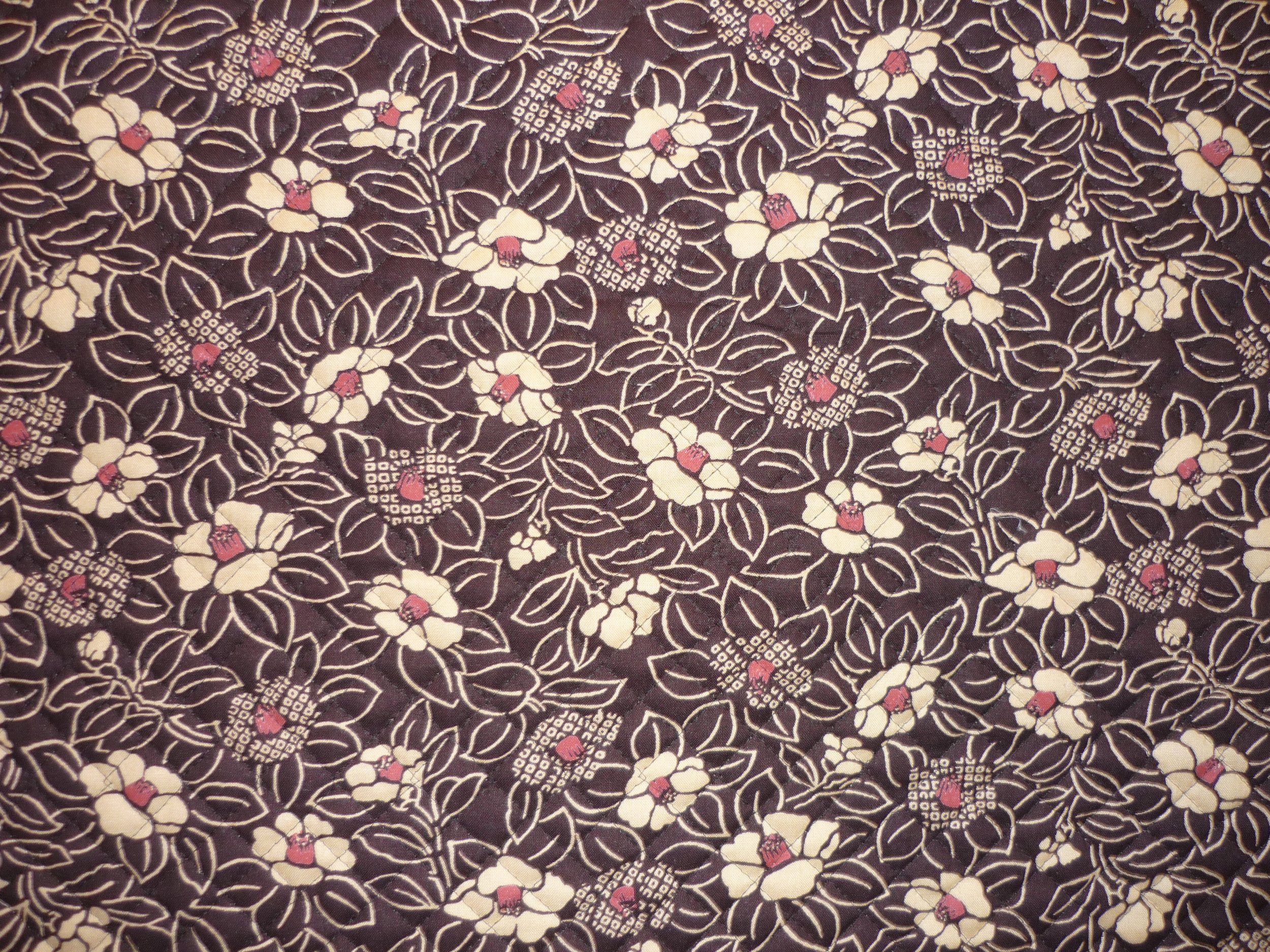 Nouveauté Camélia japonaise Brune