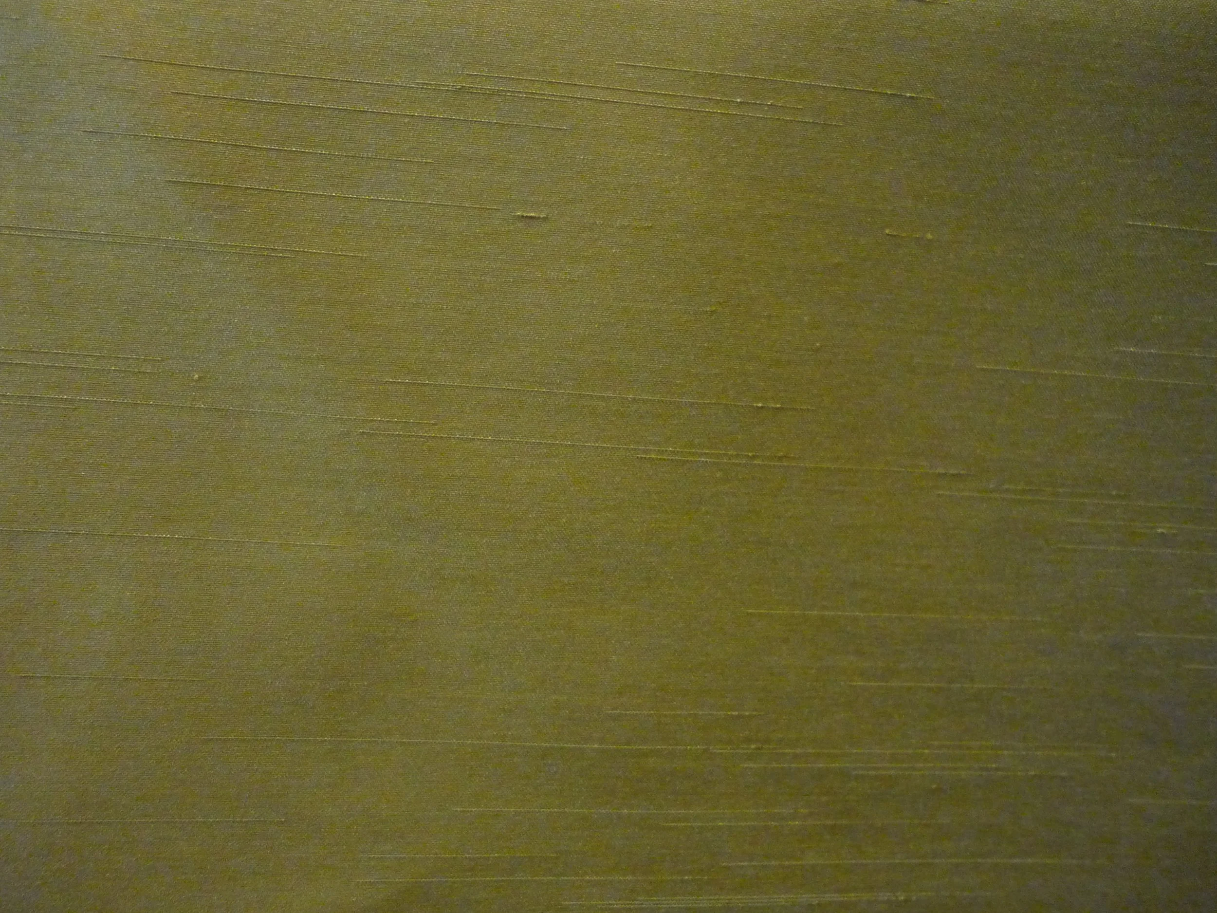 P1230011.JPG