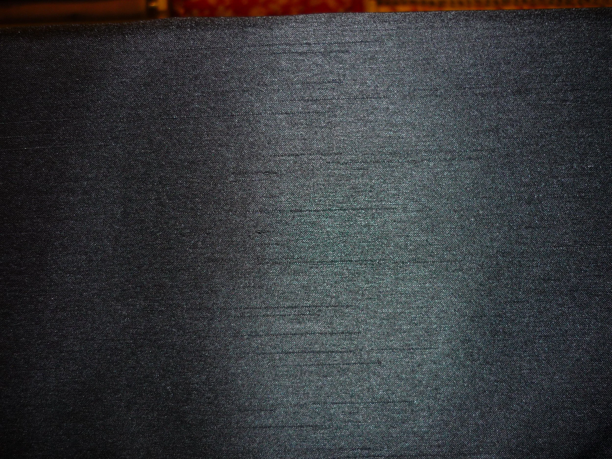 P1230007.JPG