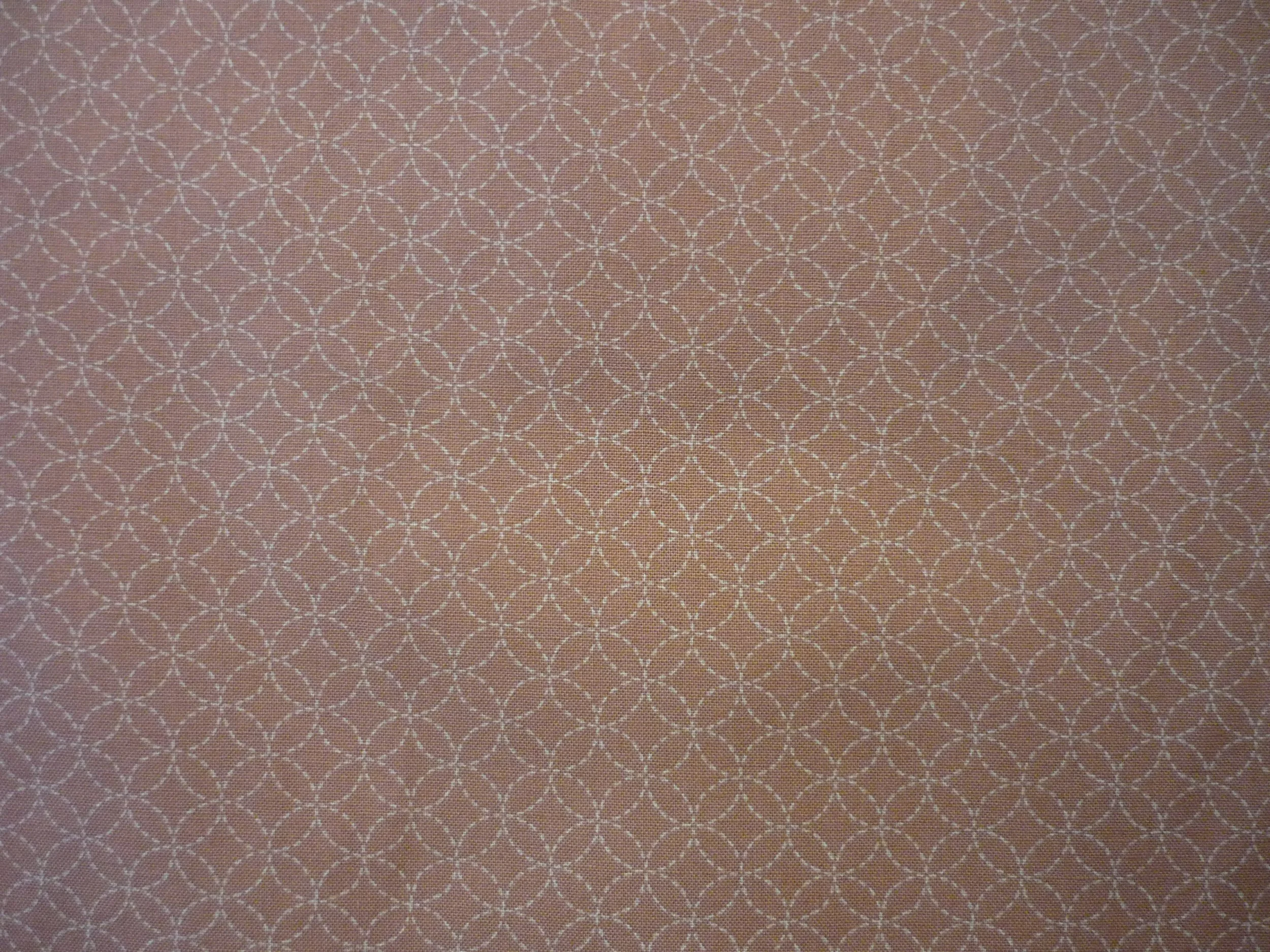 P1220883.JPG