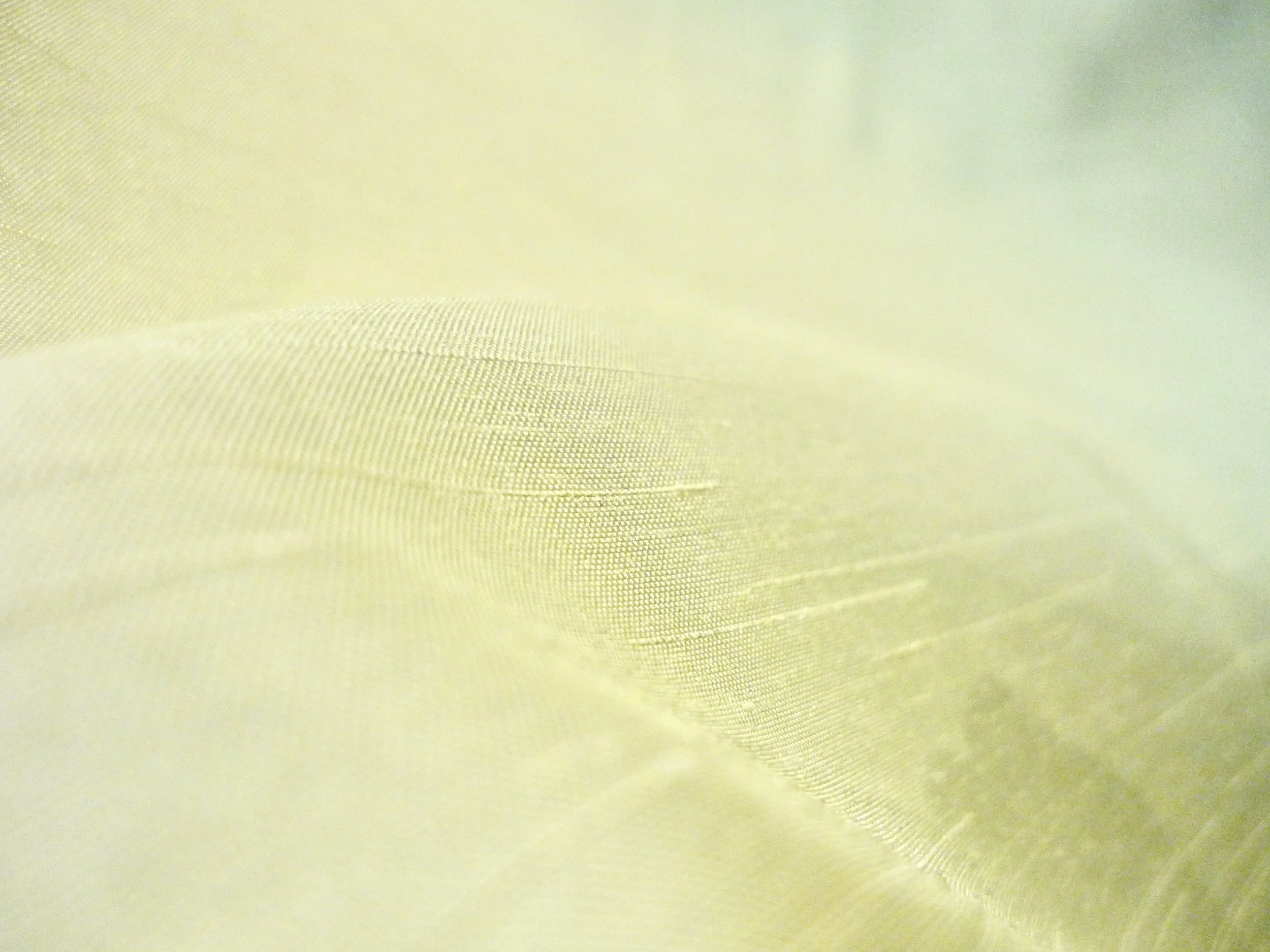 6BA4B516-07DA-4B25-A8B2-240D5B7CDB2F_1_201_a.jpeg