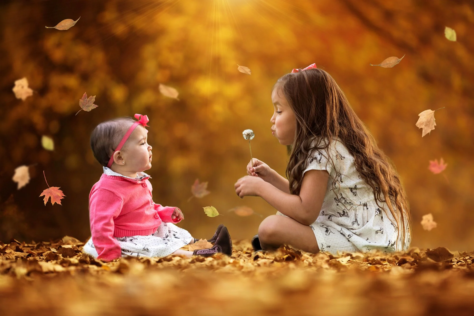 kk emi fall 12 x 18 brighter small jpg.jpg