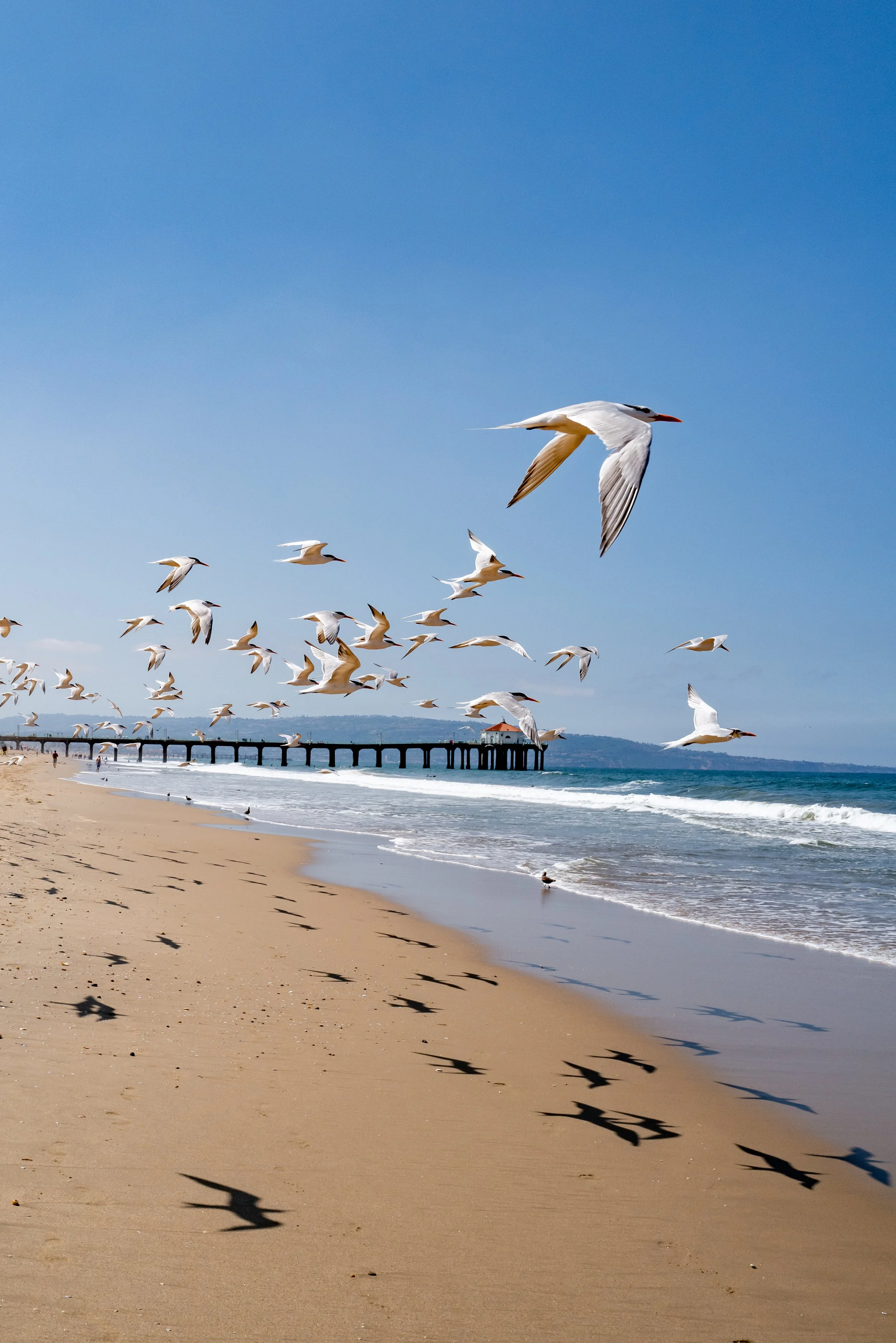 Puerto Rico 2023 Lucy Calvin-7.jpg