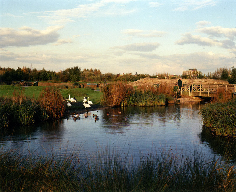 20_wetlands.jpg