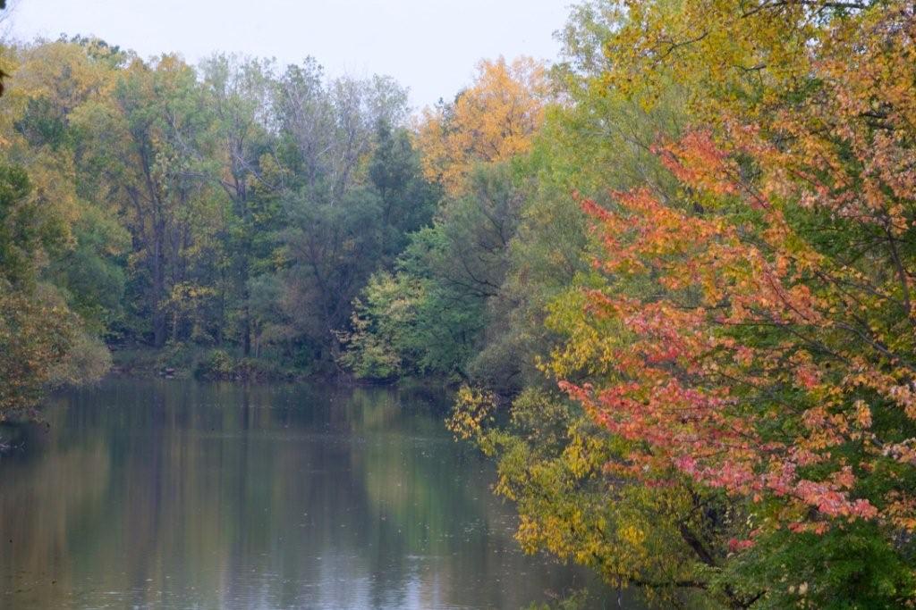 River in Fall.jpg