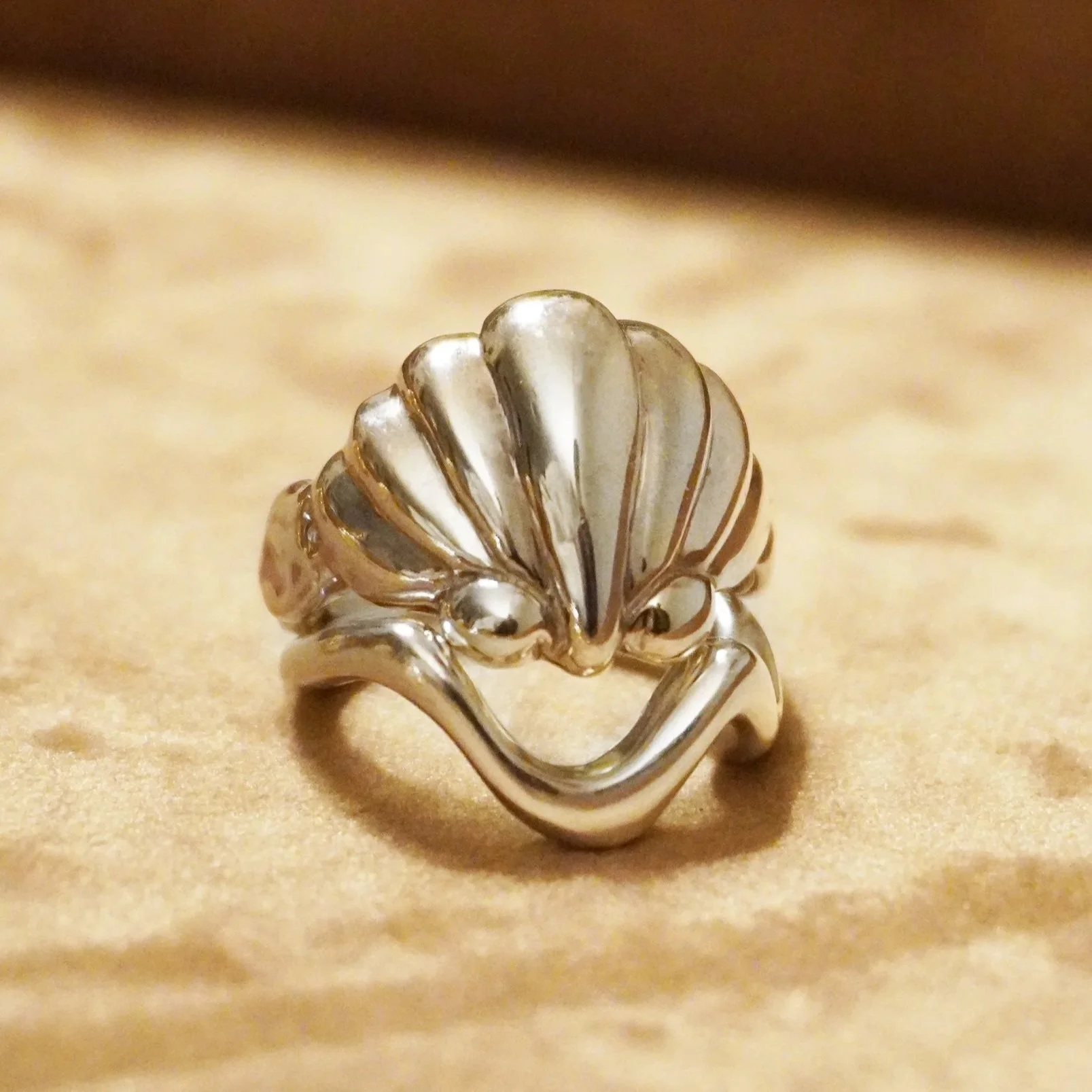 clam+shell+silver+1.jpg