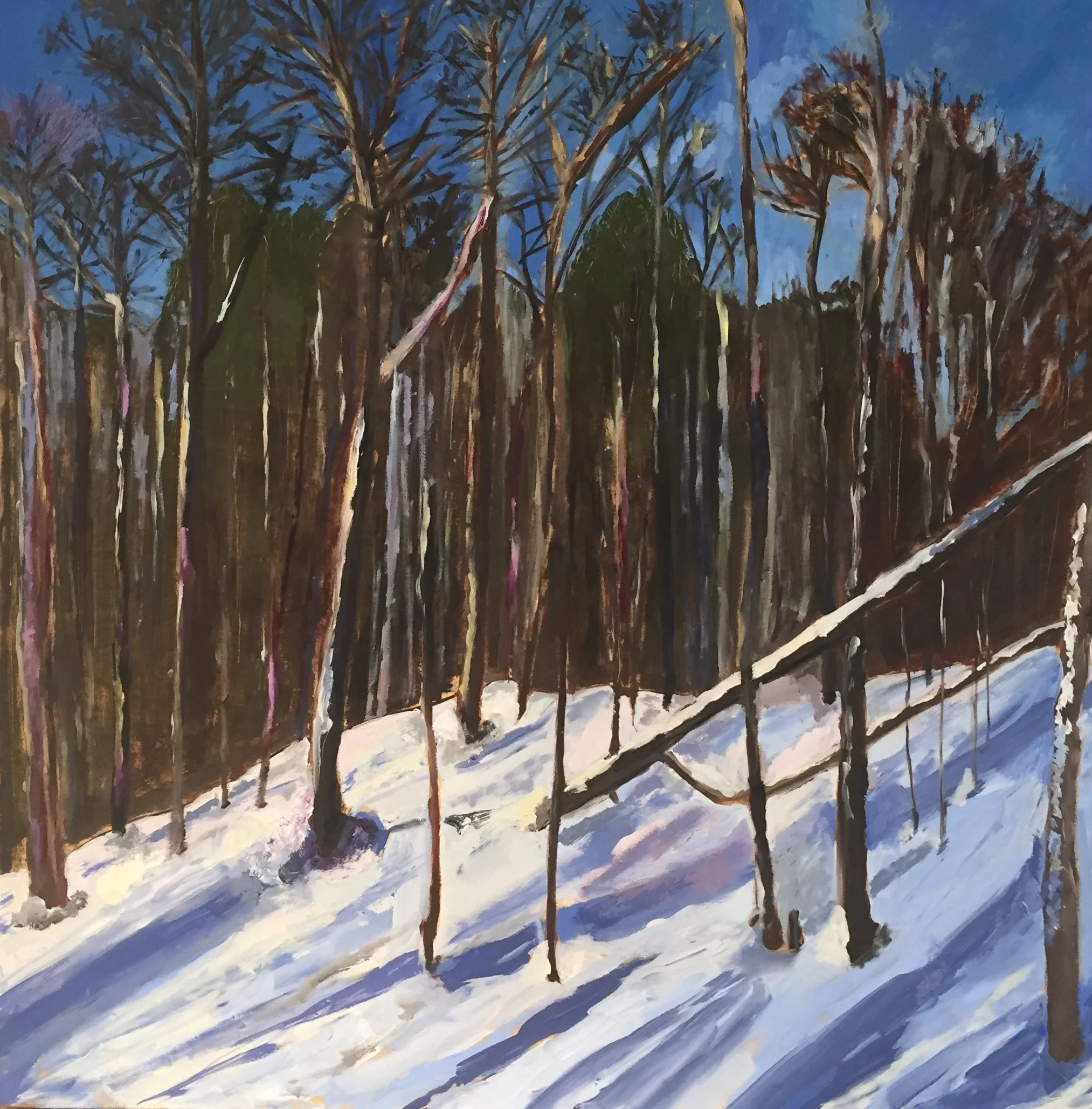 Winter Walk, 2017