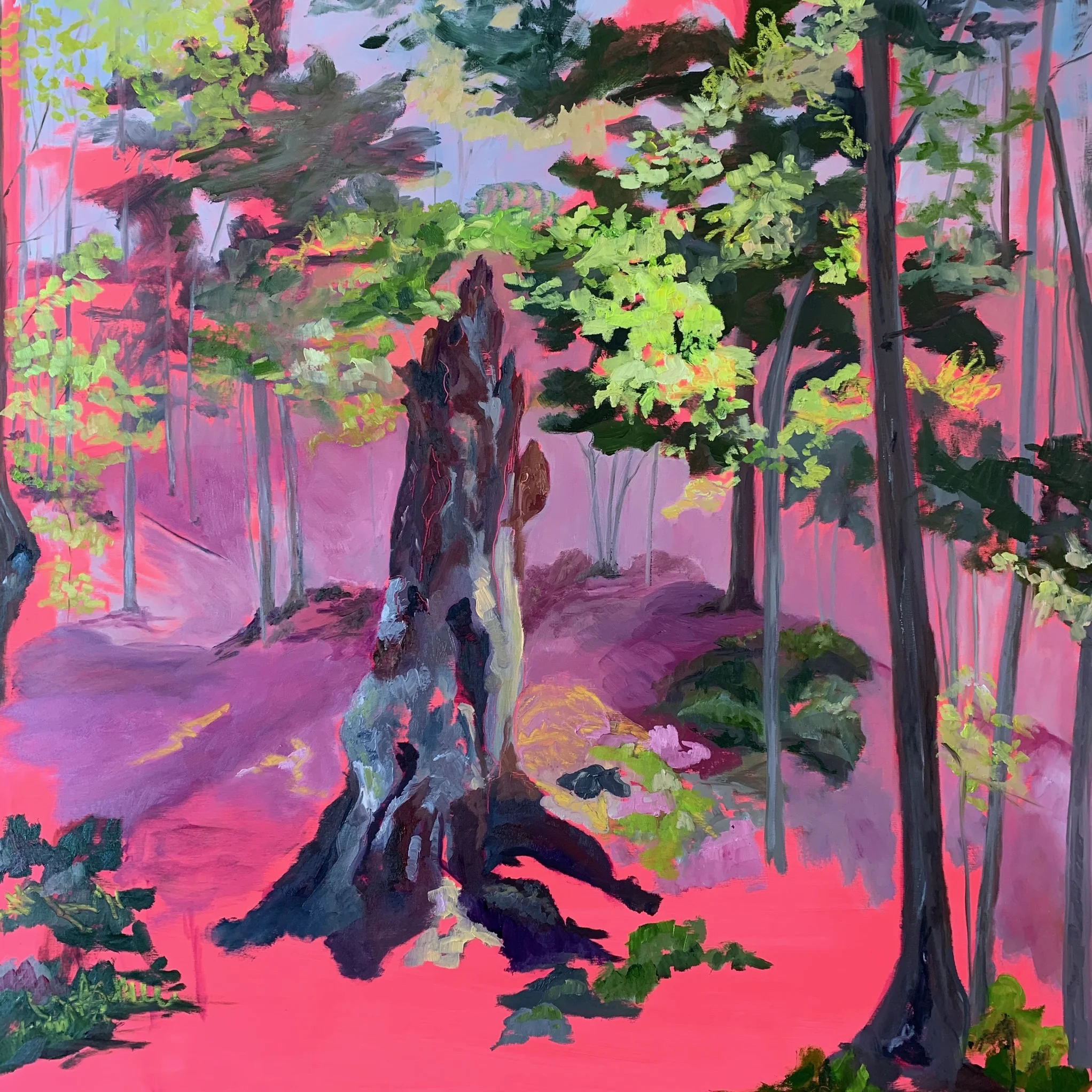 Pockets of Spring