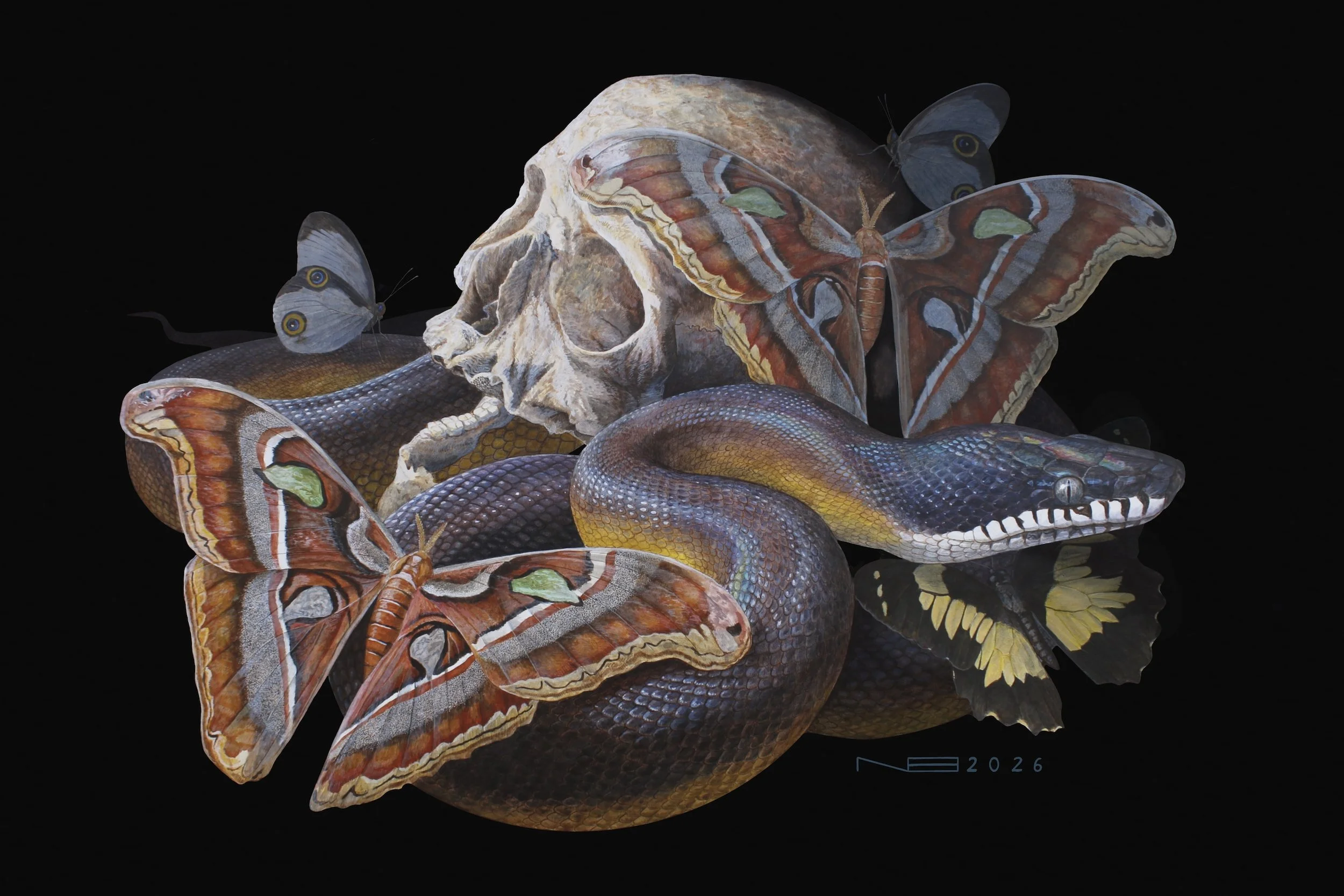 The Ephemeral (2026) - 36x24” - Acrylic on Panel 